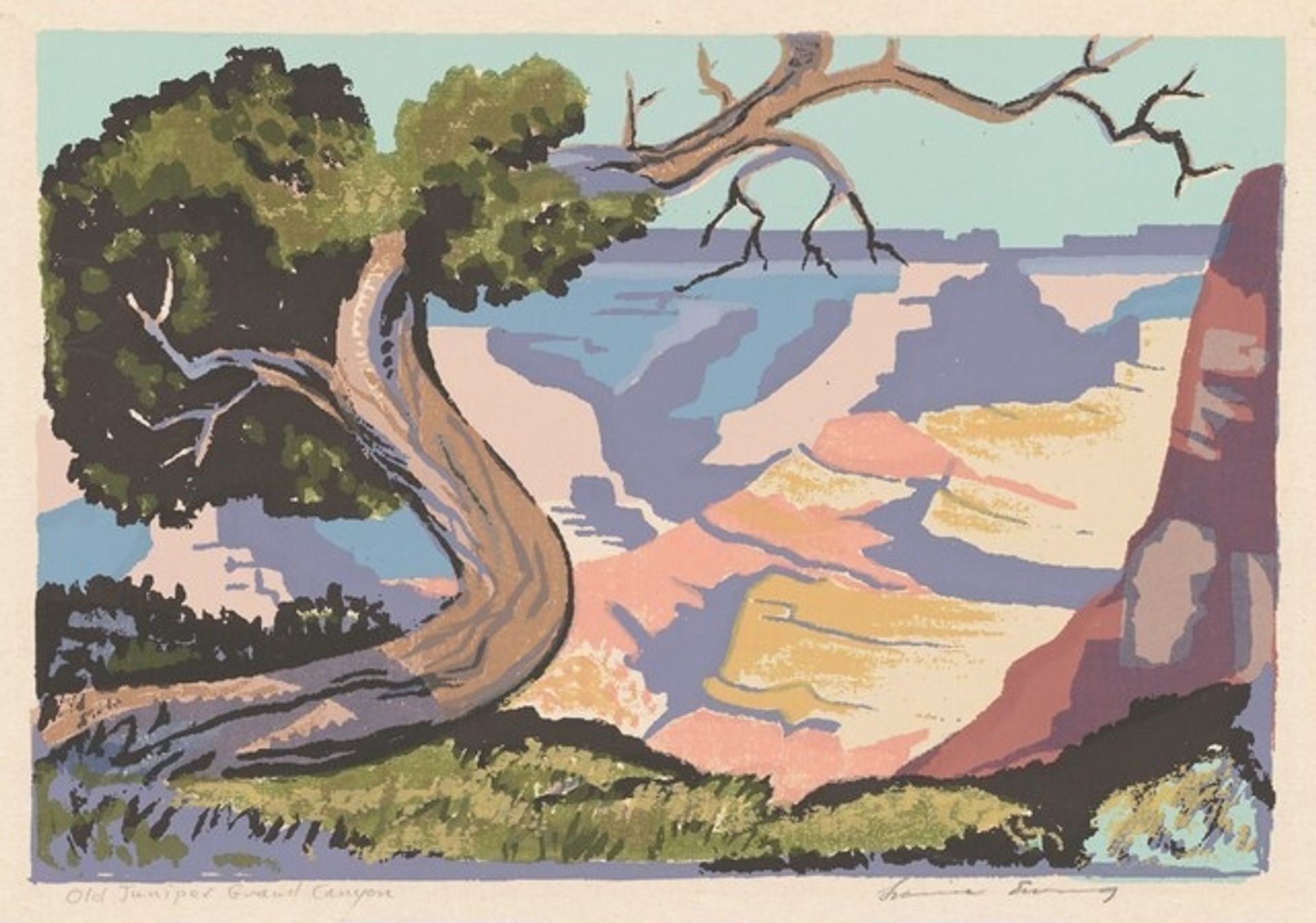 Old Juniper—Grand Canyon by Louie H. Ewing
