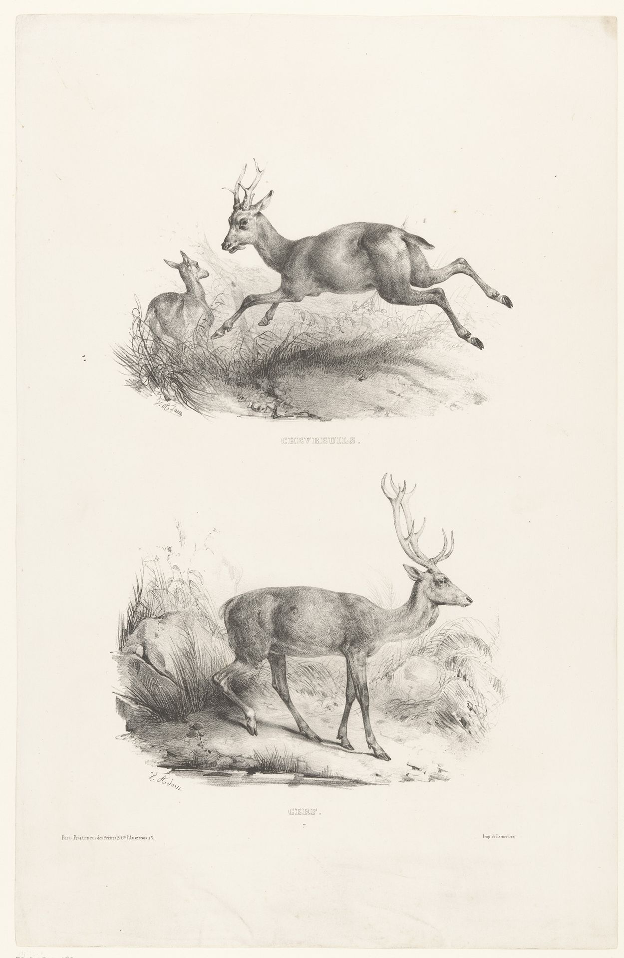Twee voorstellingen met reeën en een hert by Victor Adam
