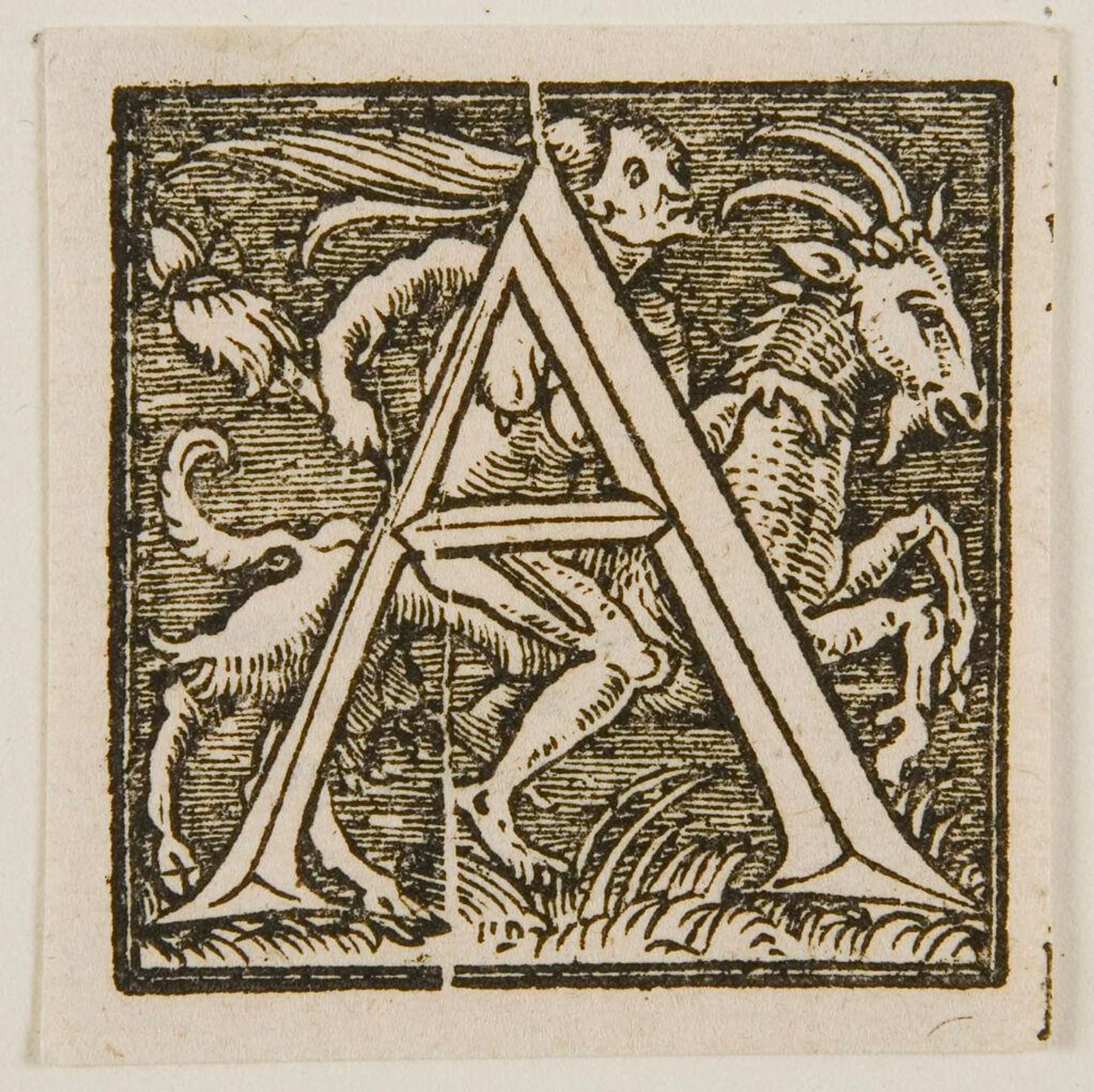 Letter A by Anonymous