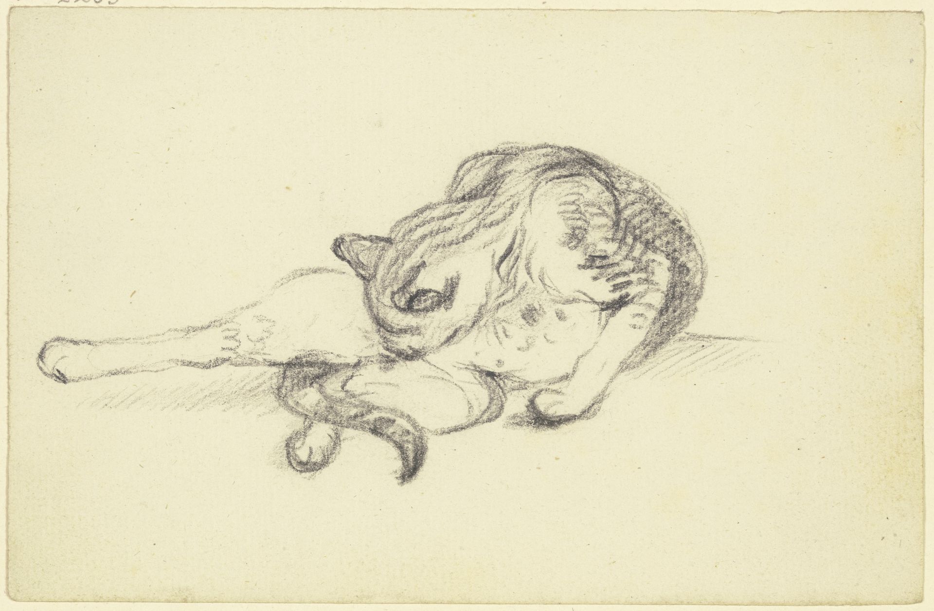 Grooming cat by Friedrich Wilhelm Hirt