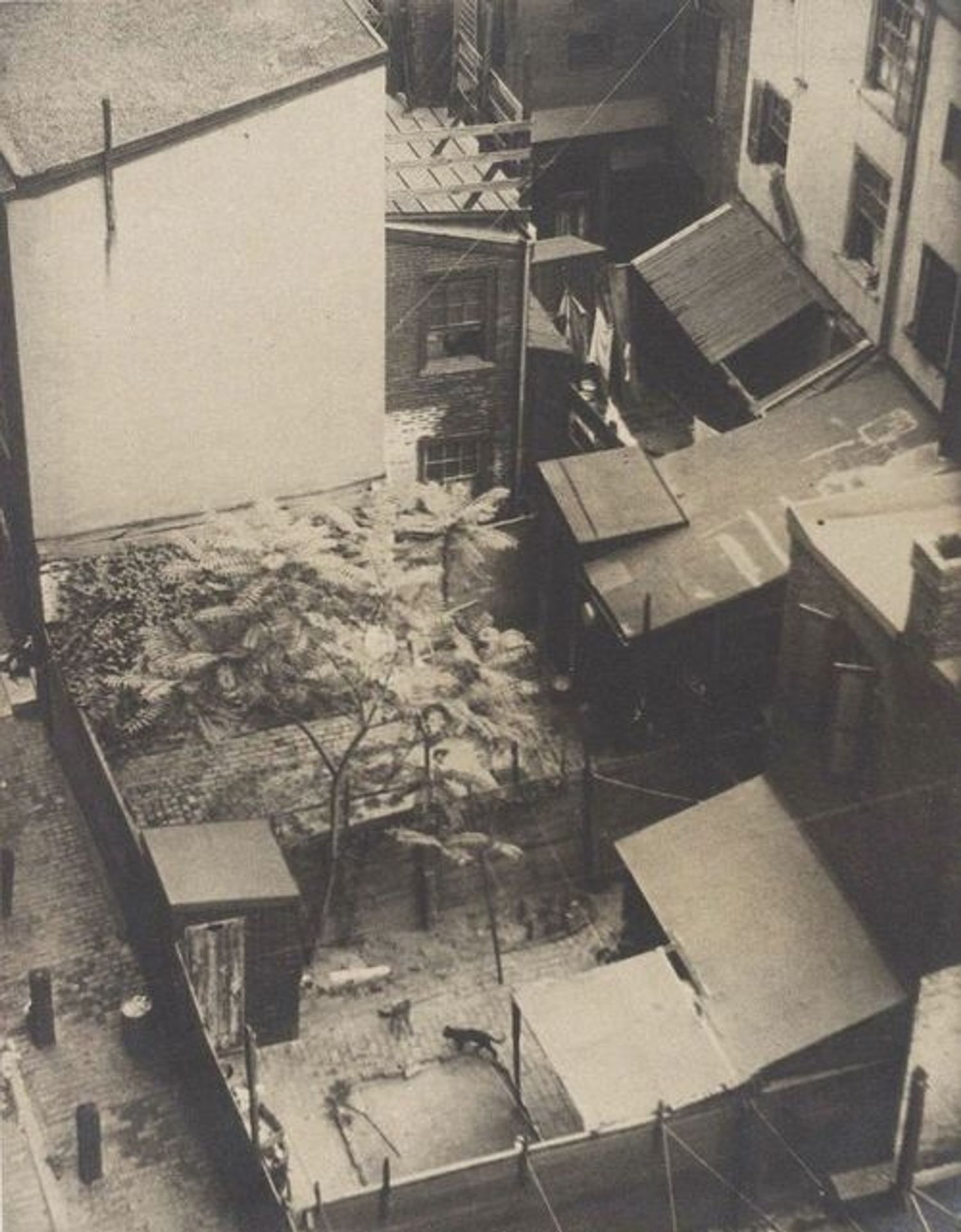 Rooftops by Morton Schamberg