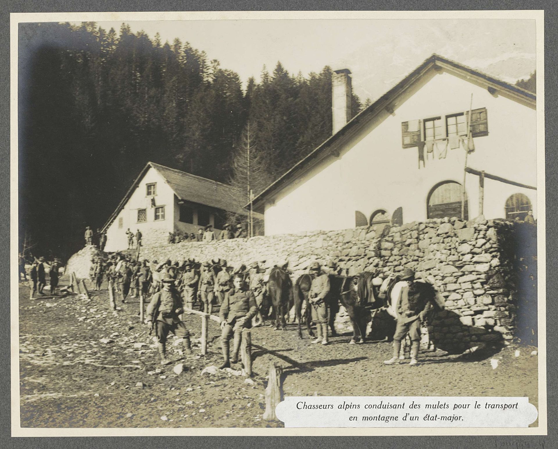Alpenjagers begeleiden muilezels bij het transport van militaire staf, vermoedelijk Italianen by Henri de Rothschild