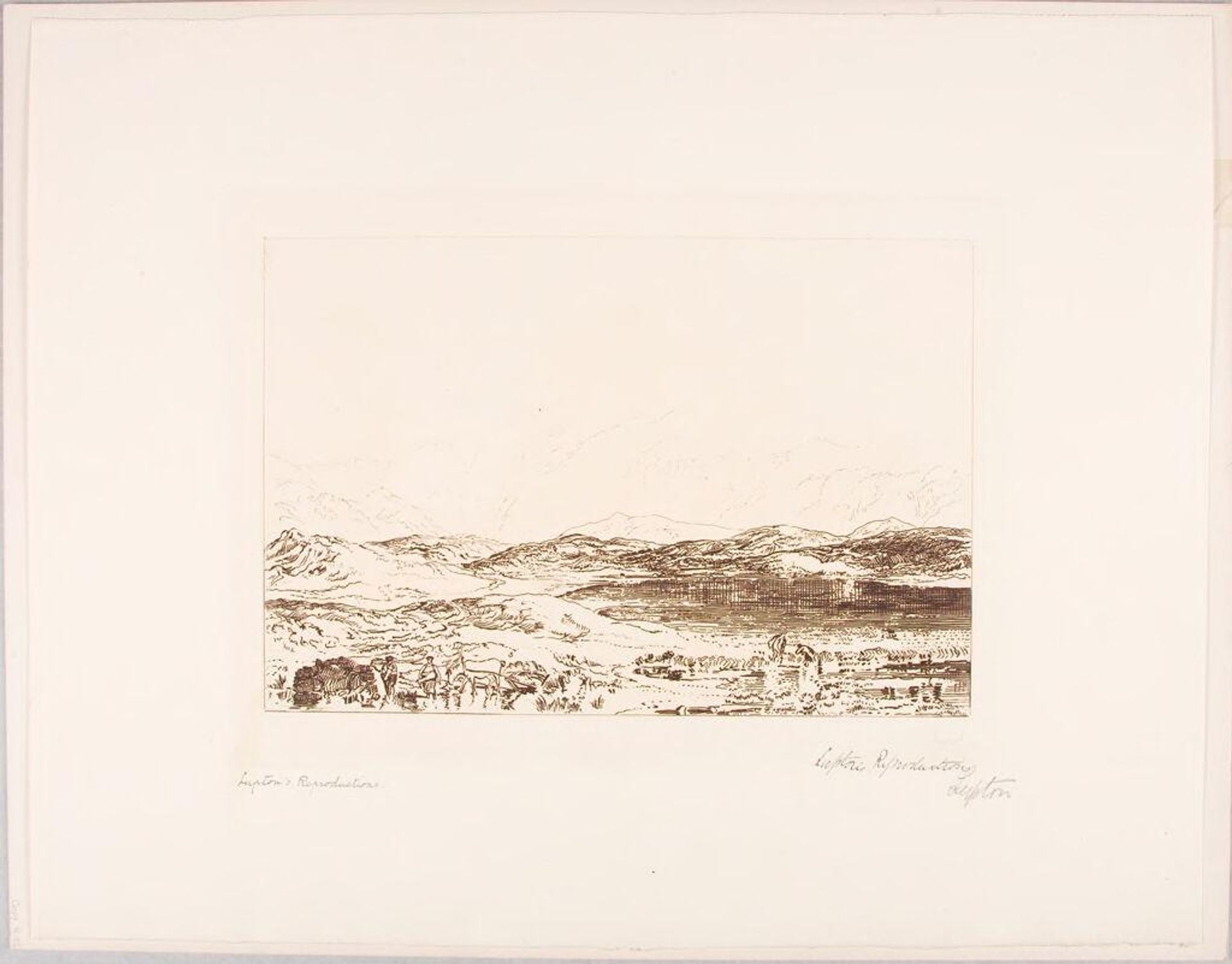 Peat Bog by Thomas Goff Lupton