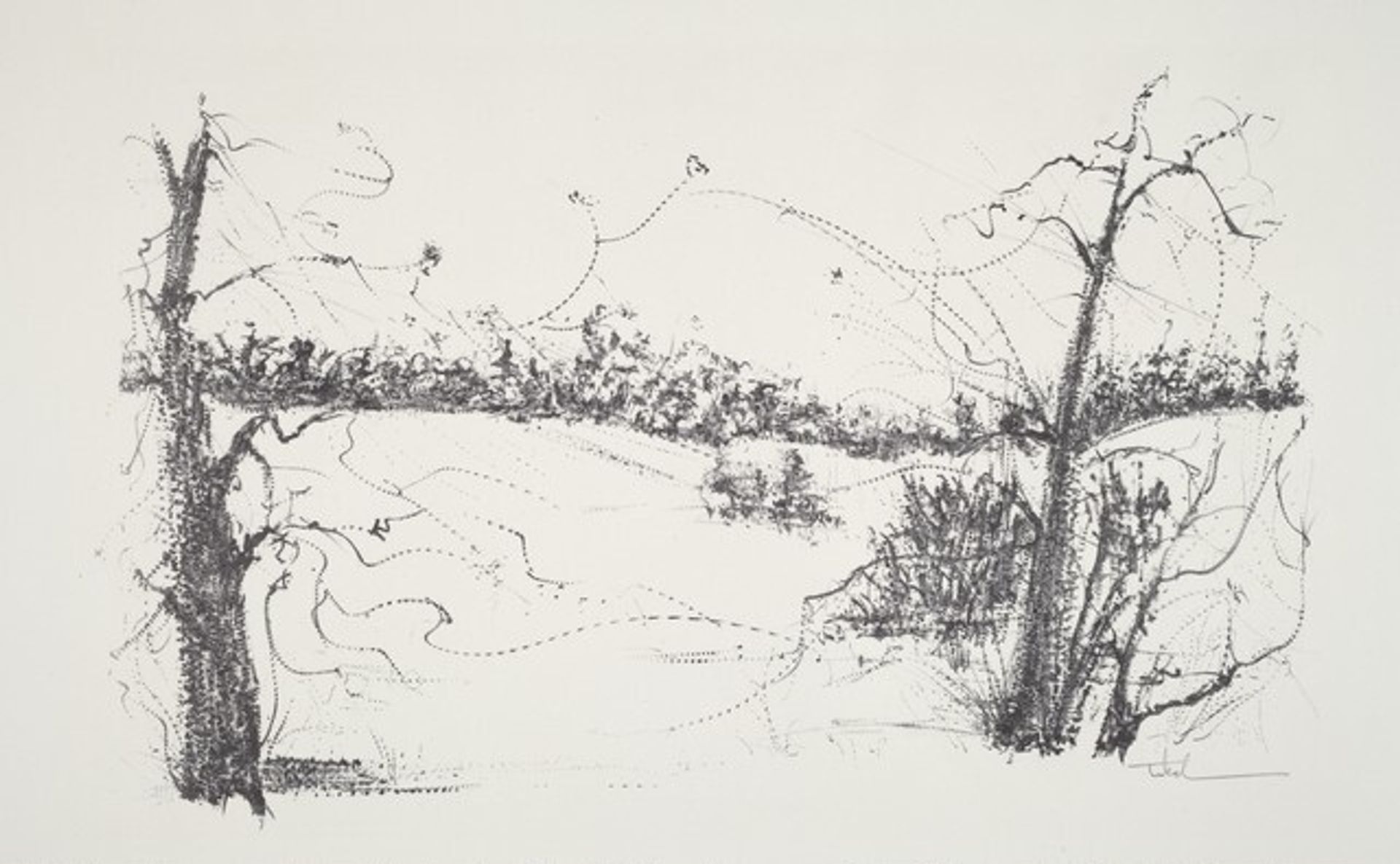 Trees and Fields by Peter Takal