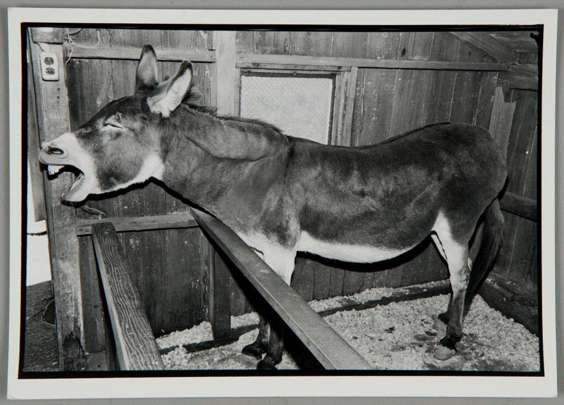 Untitled (Berkeley) by Bill Dane