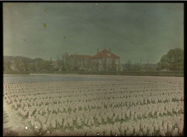 Slide 8