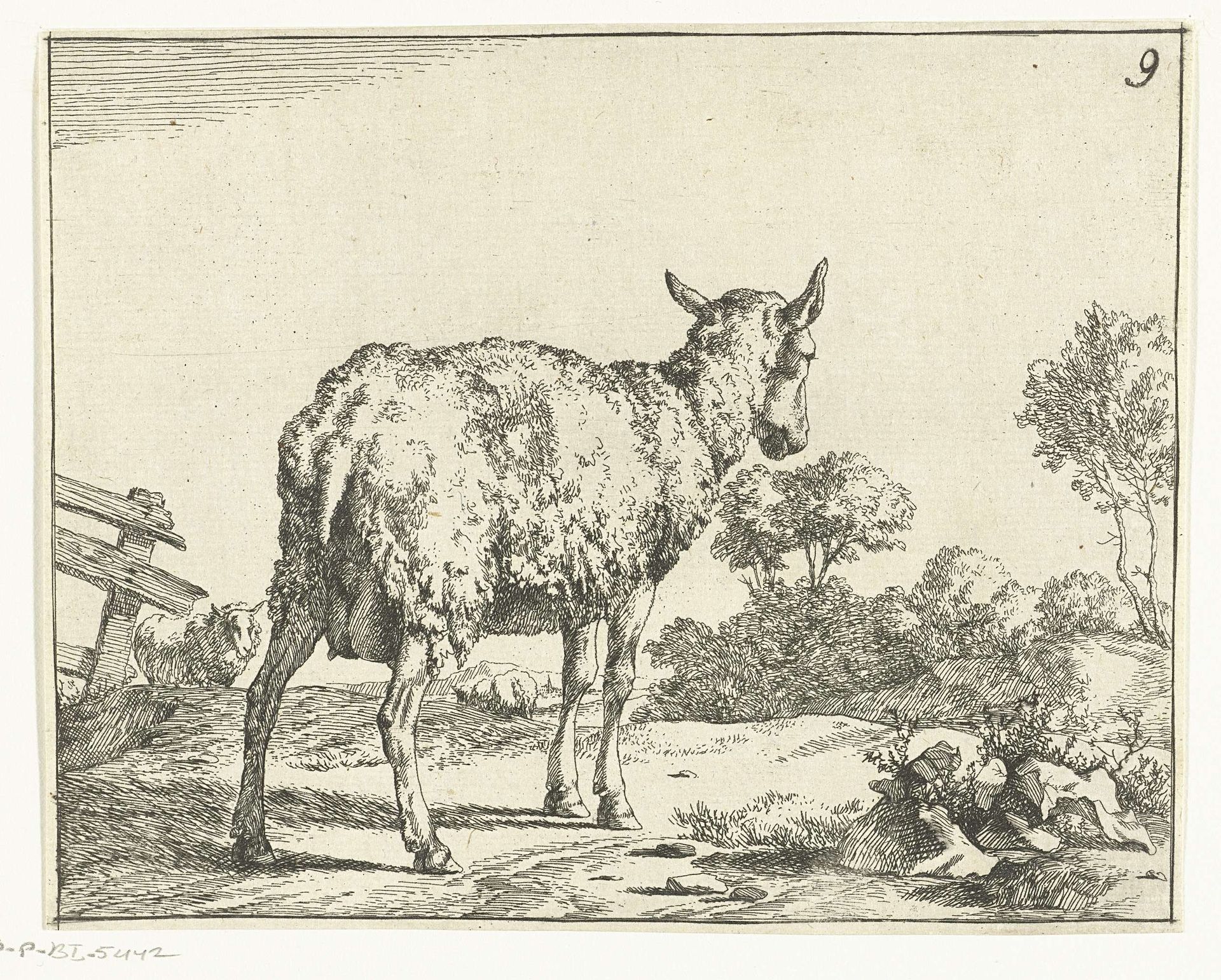 Staand schaap, van achter, bij hek by Marcus de Bye