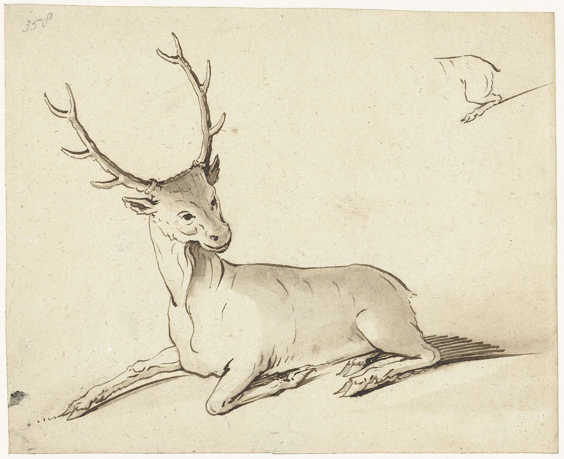 Studieblad met twee herten by Gerard ter (I) Borch