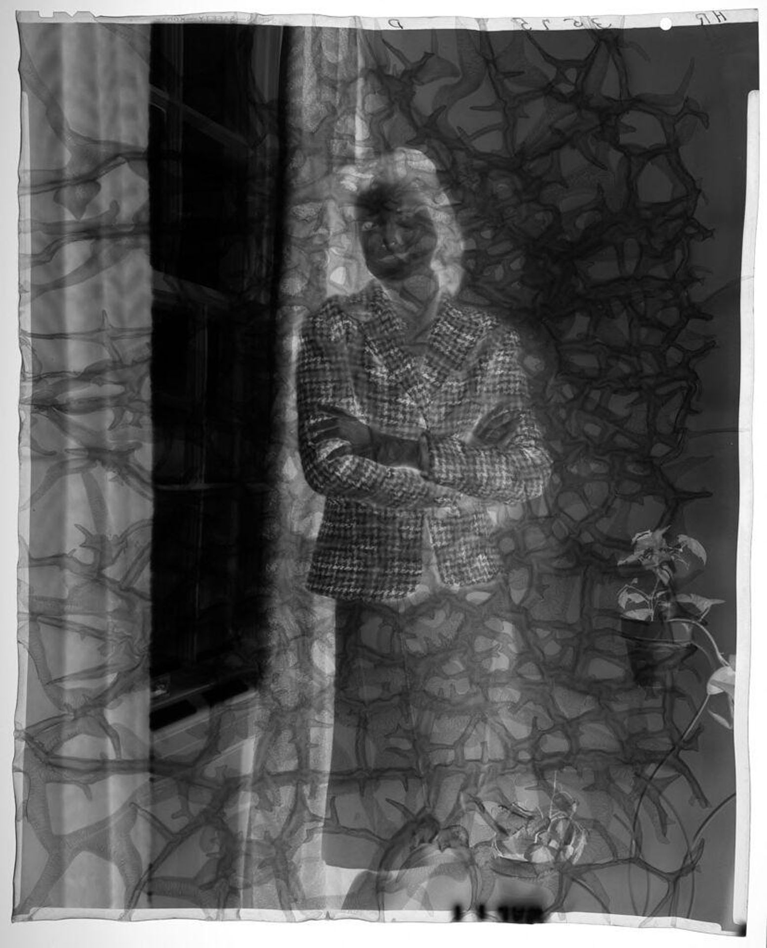 Untitled (woman in houndstooth jacket standing by window with arms crossed; potted plants to her side) by Paul Gittings