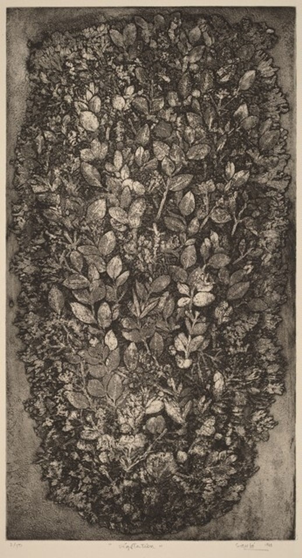 Vegetation by Juvenal Sansò