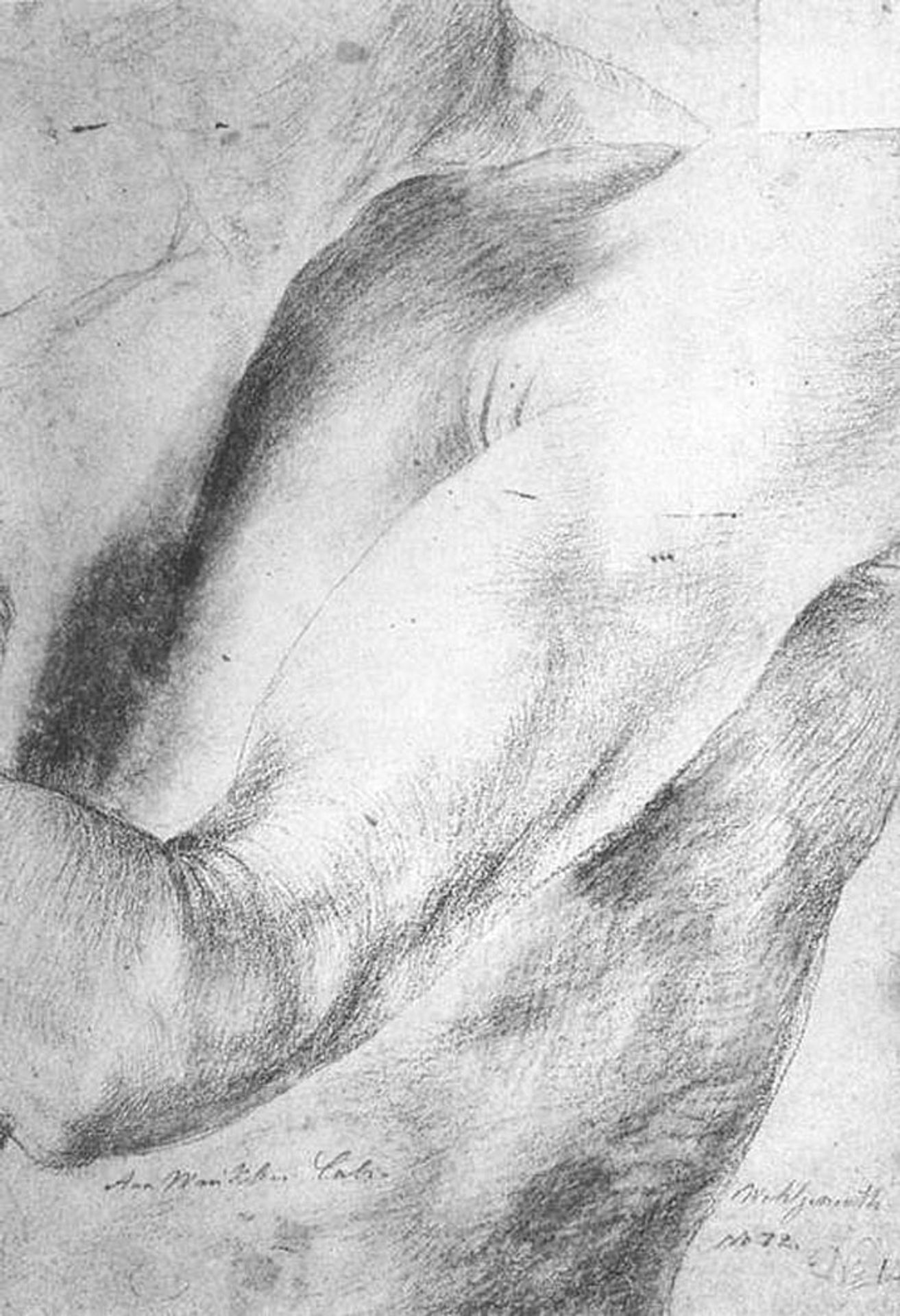 Upper arm Study by Matthias Grünewald