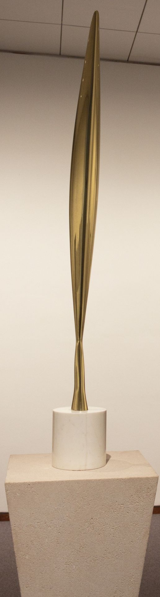 Bird in Space by Constantin Brâncuși