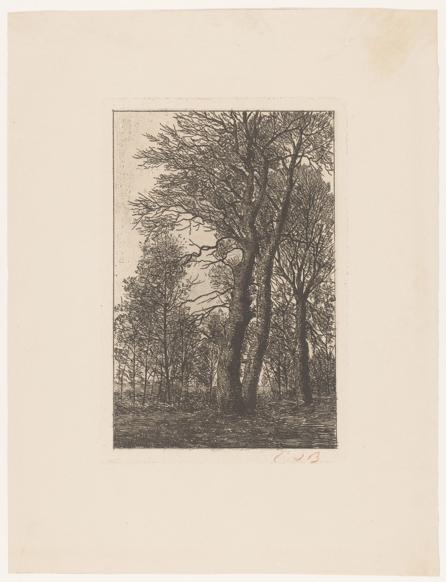 Groep bomen by Emile de Baré