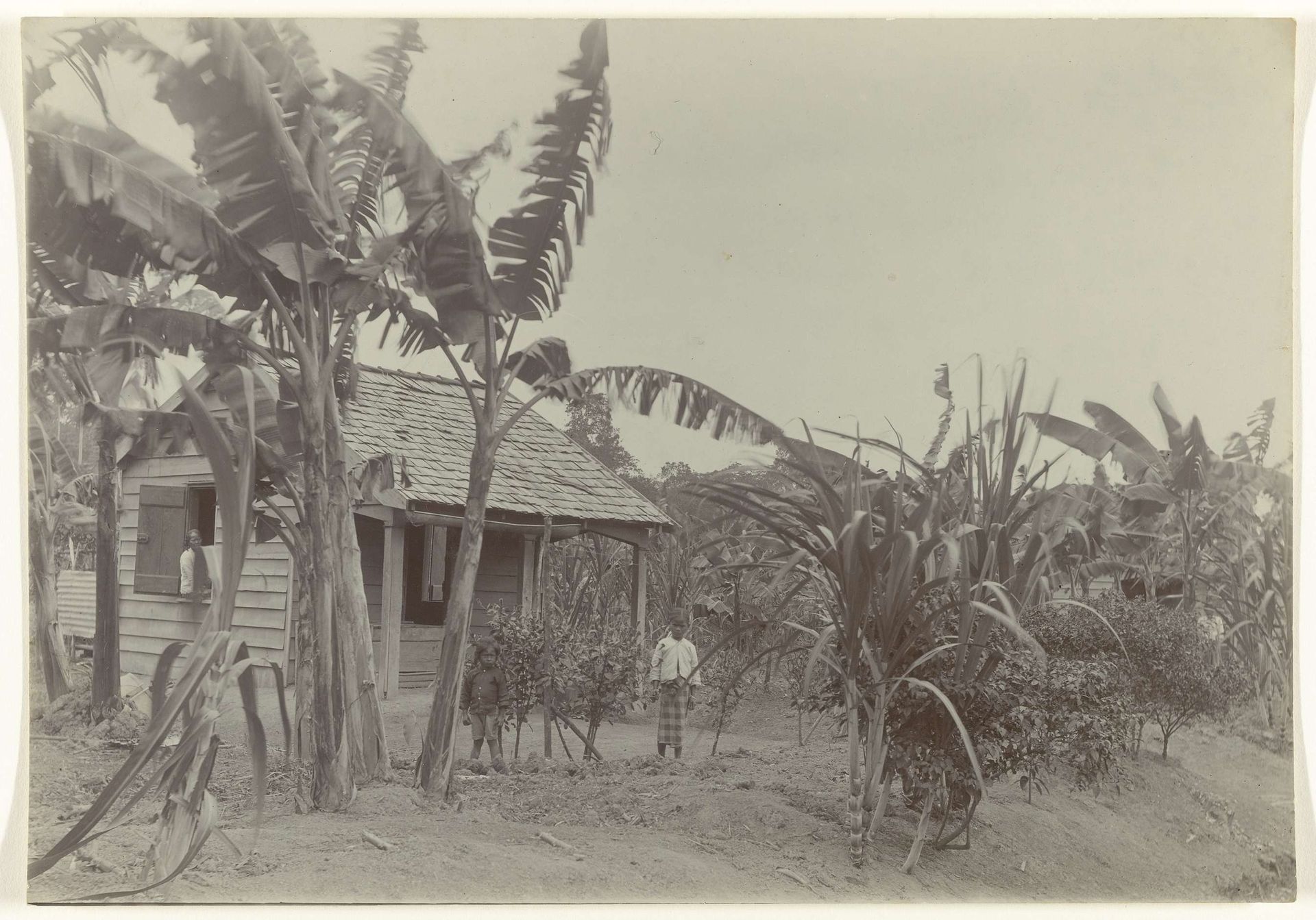 Arbeiderswoning met arbeiders op plantage Johanna-Catherina te Suriname by Theodoor Brouwers
