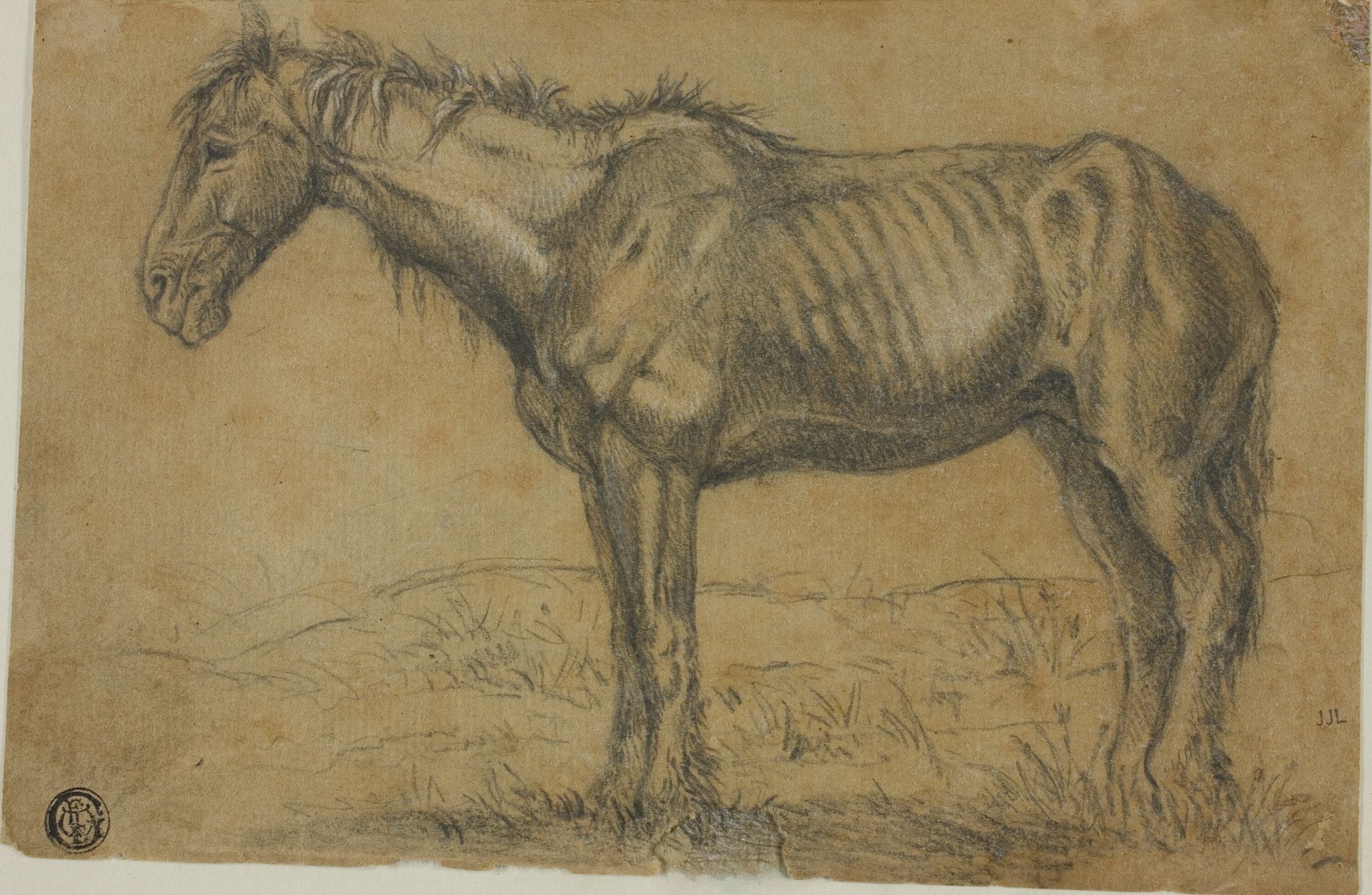 Emaciated Horse (recto); Frontal View of a Horse (verso) by Charles Jacque