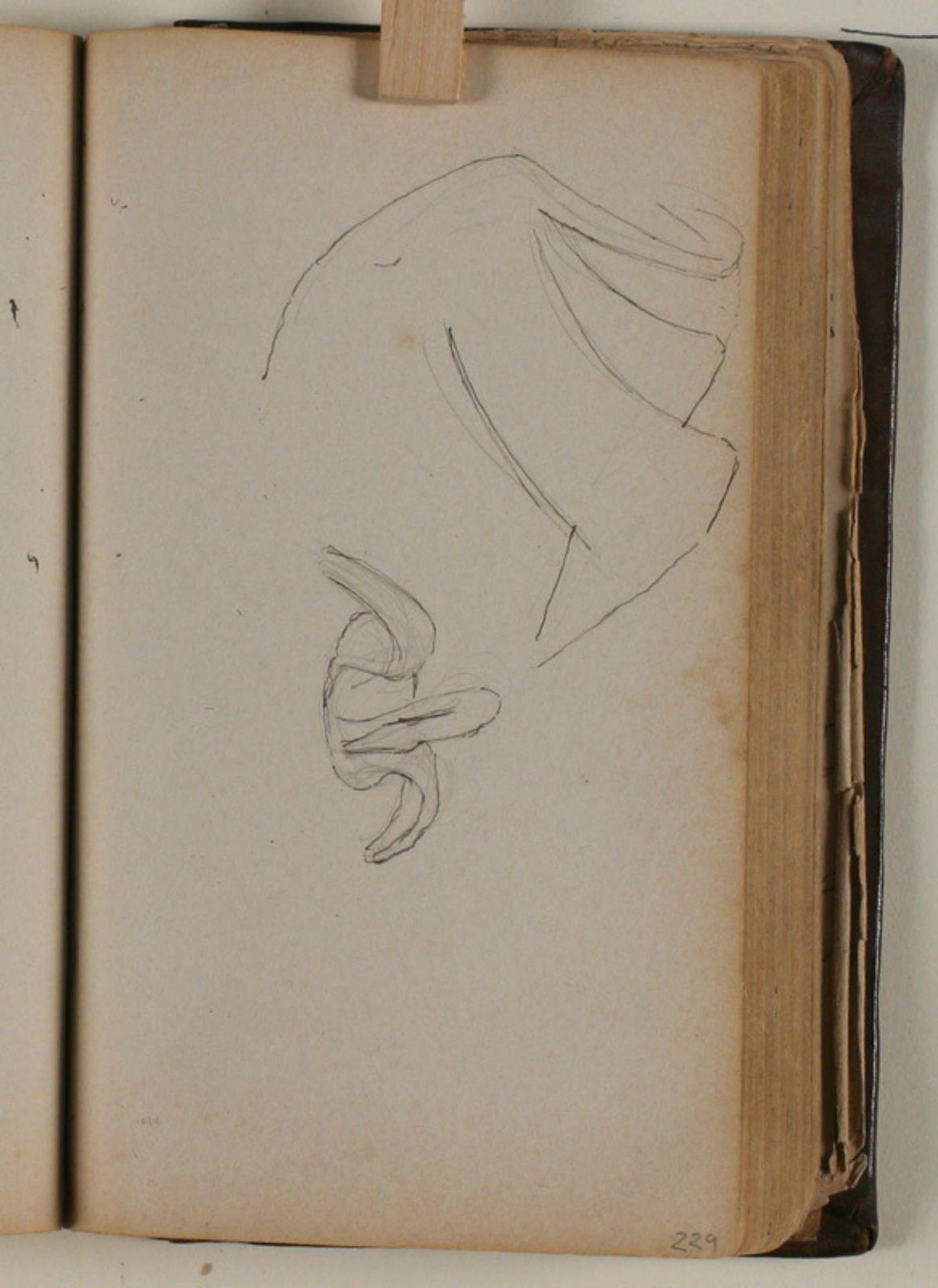 Studier af svane by Niels Larsen Stevns