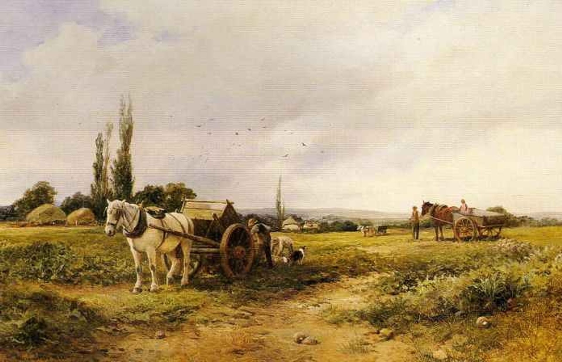 In the mangel field by David Bates