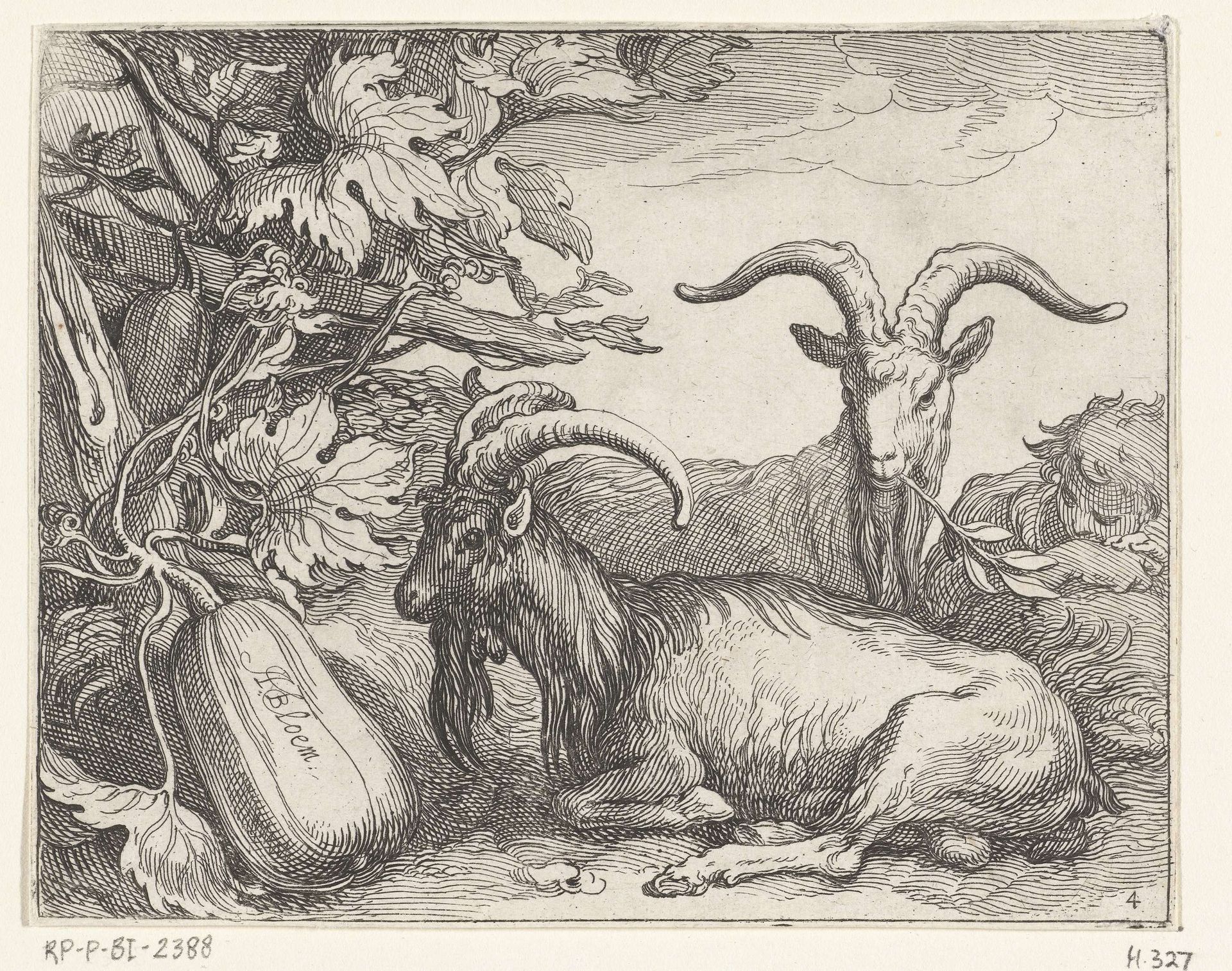 Geiten en kalebas by Boëtius Adamsz. Bolswert
