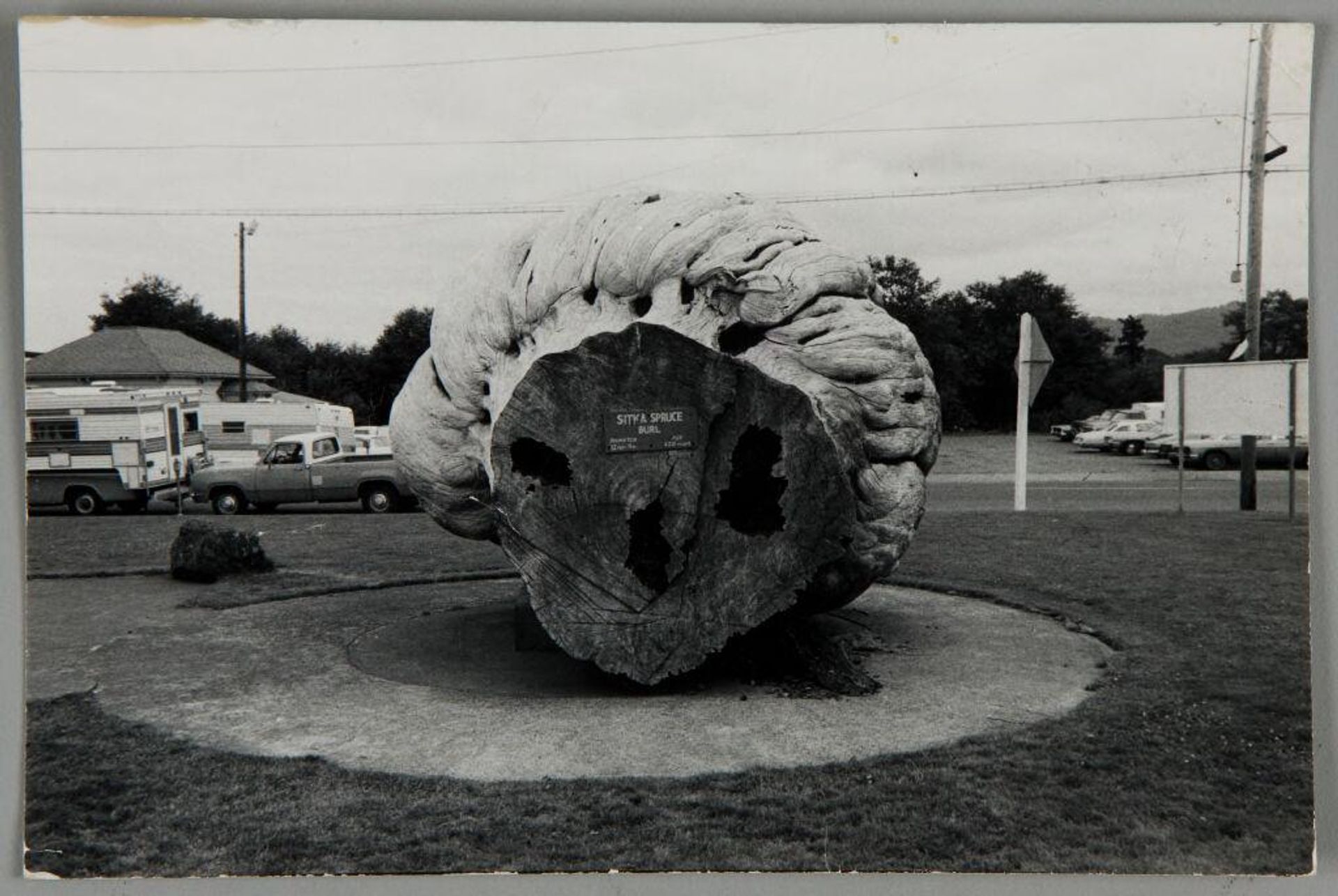 Untitled (Oregon) by Bill Dane