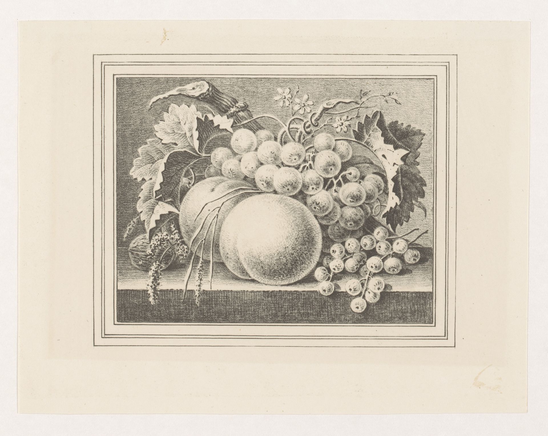 Compositie met vruchten in een omlijsting by Maria Geertruida de Goeje-Barbiers