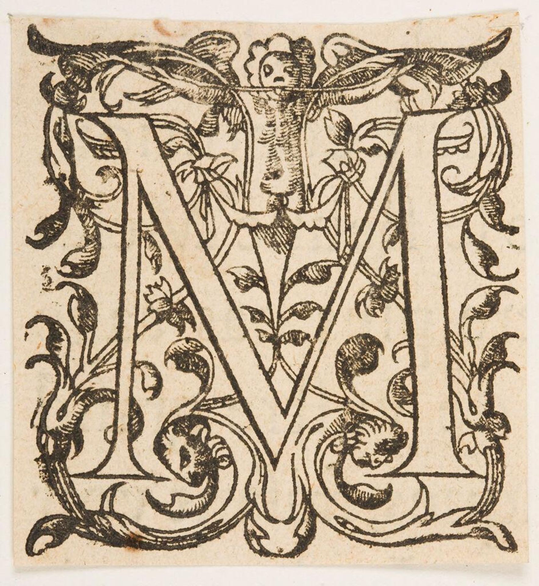 Letter M by Anonymous