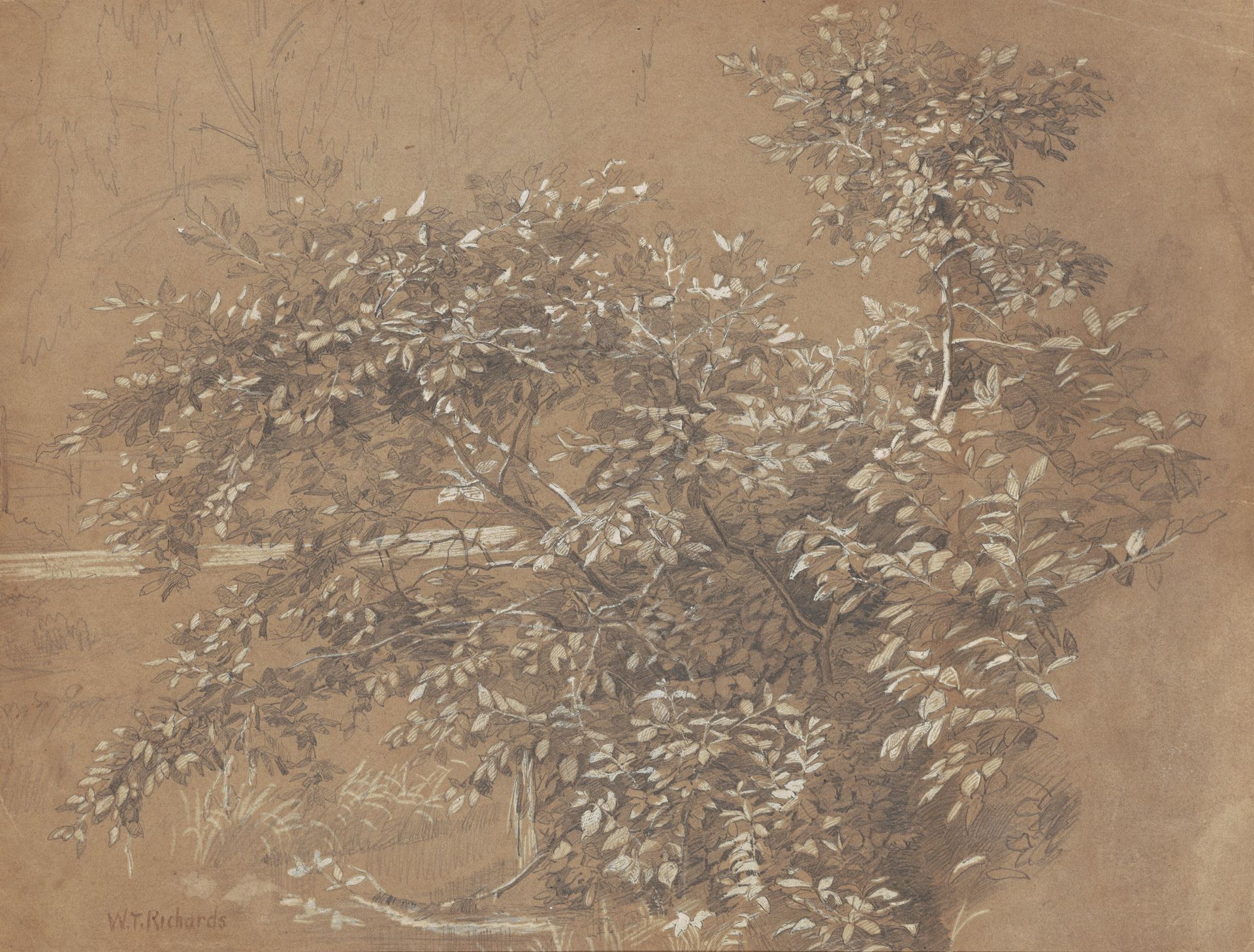 Foliage by William Trost Richards