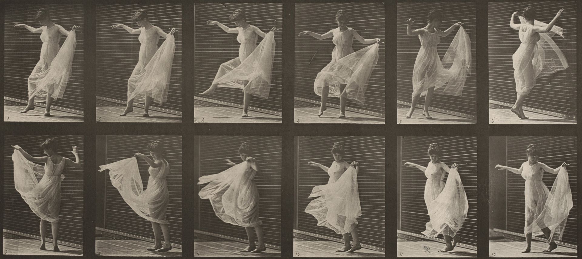 Plate Number 189. Dancing (fancy) by Eadweard Muybridge