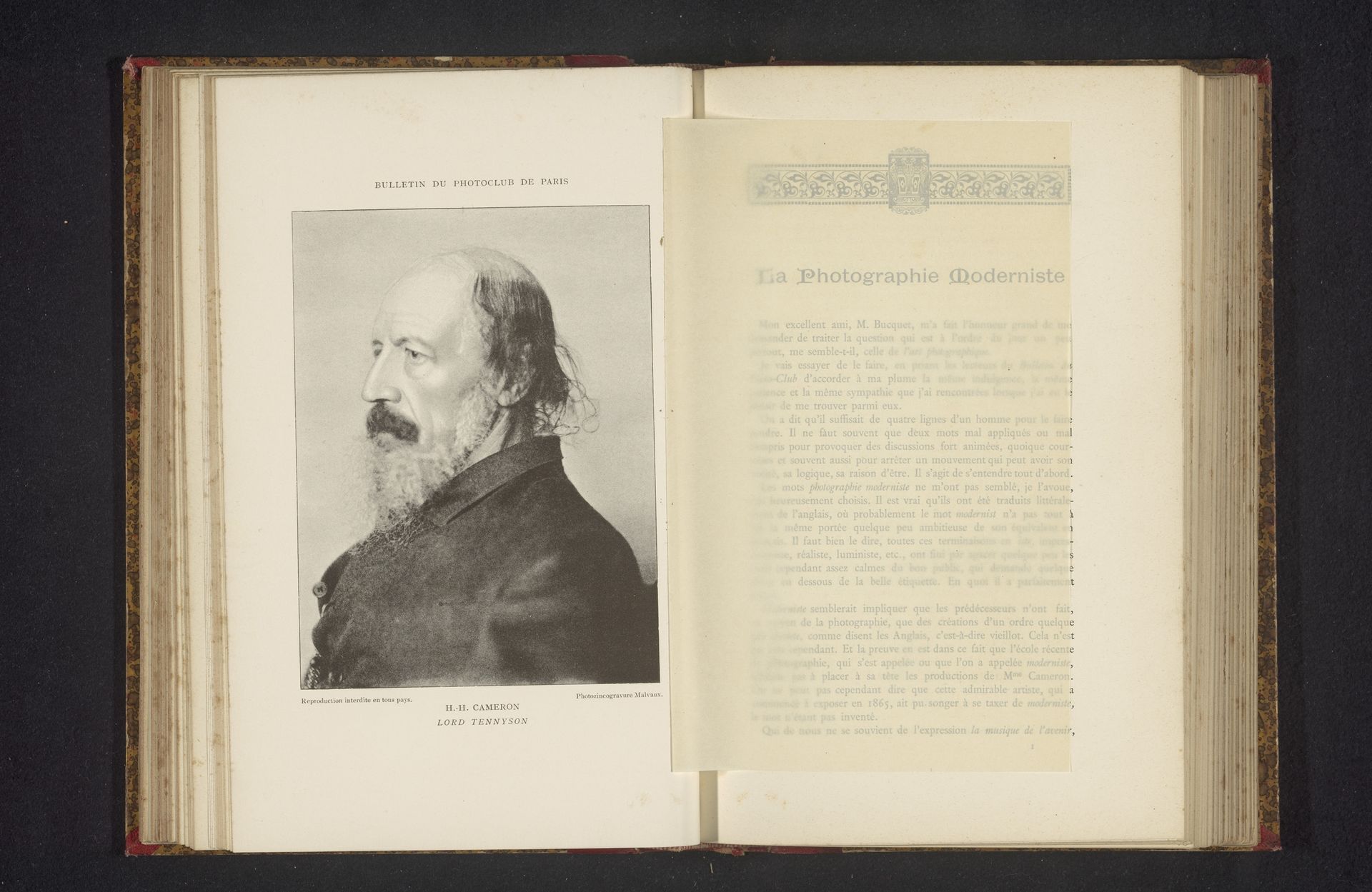 Portret van Alfred Tennyson by Henry Herschel Hay Cameron