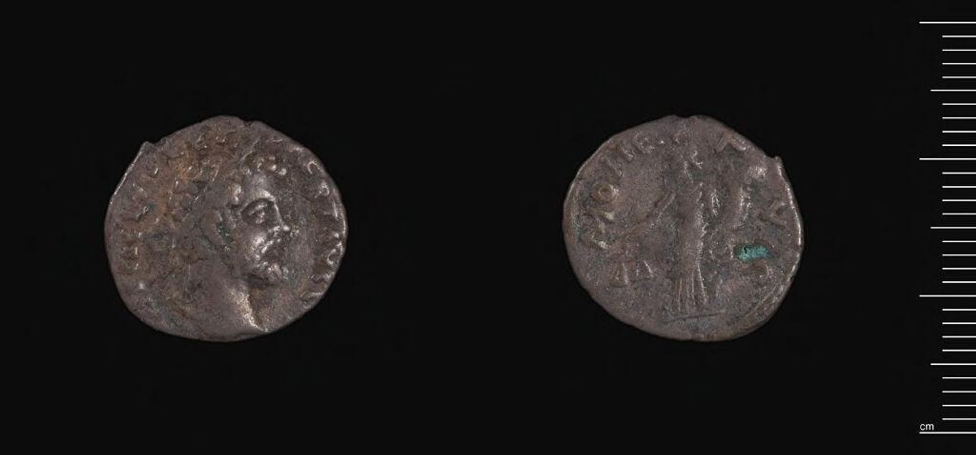 Denarius of Septimius Severus by Septimius Severus