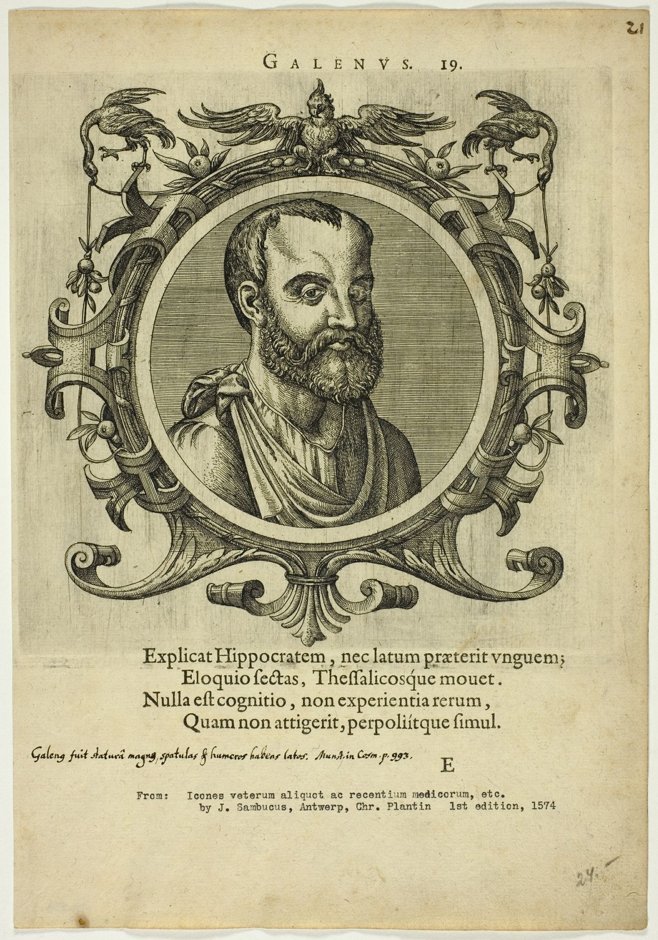 Portrait of Galenus by Johannes Sambucus