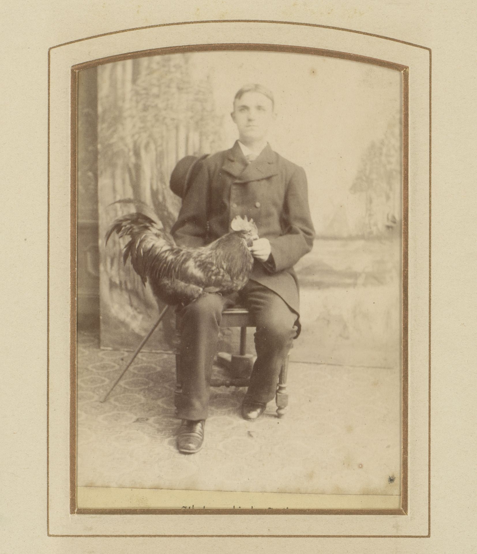 Portret van een zittende jongeman met een haan op schoot by Gerardus Johannes Traag