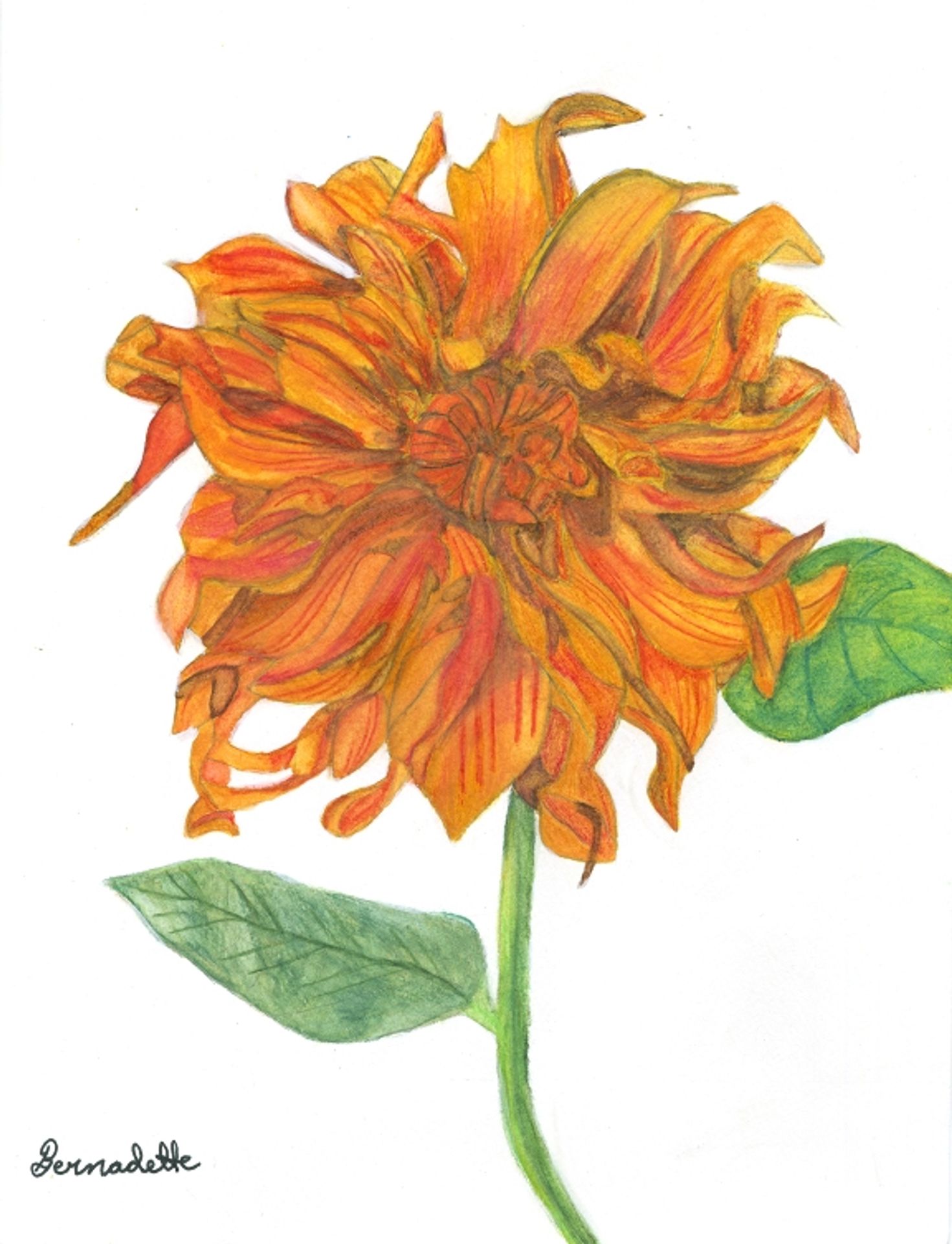 Fireburst by Bernadette Resha