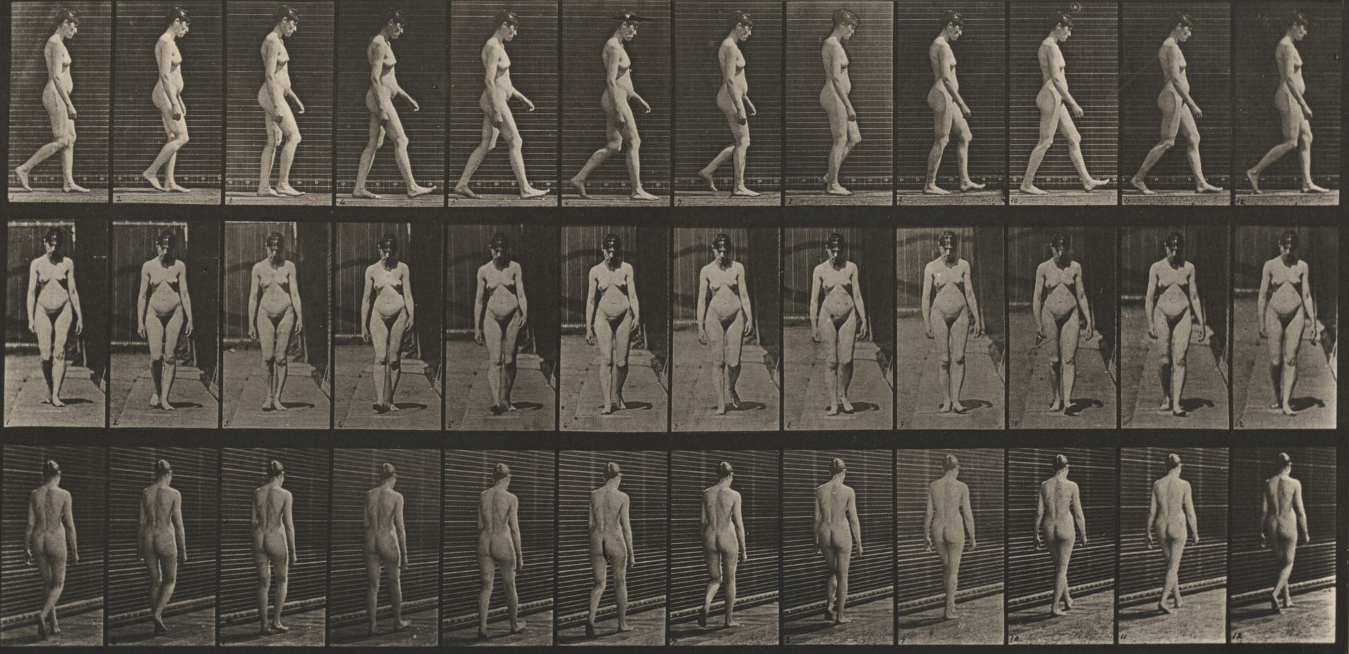 Plate Number 13. Walking by Eadweard Muybridge