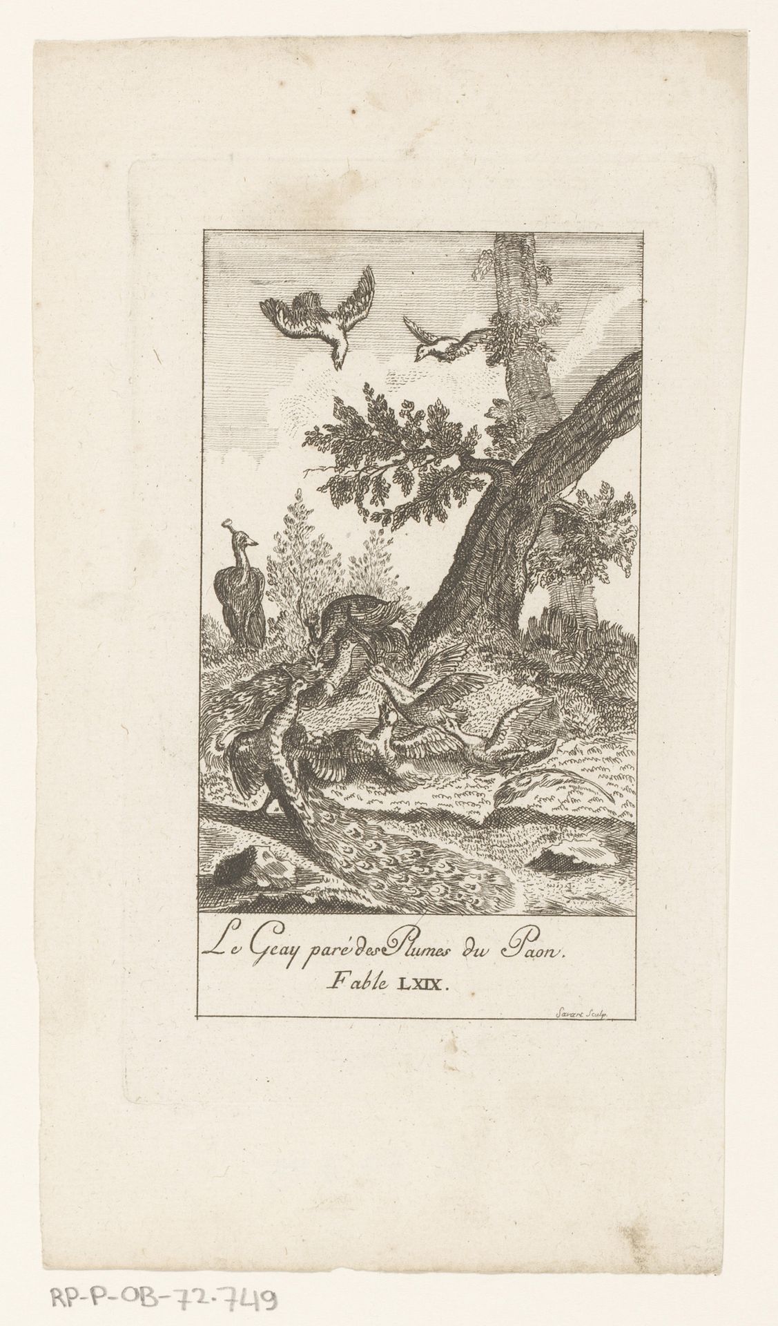 Gaai opgesierd met de veren van een pauw by Pierre Savart