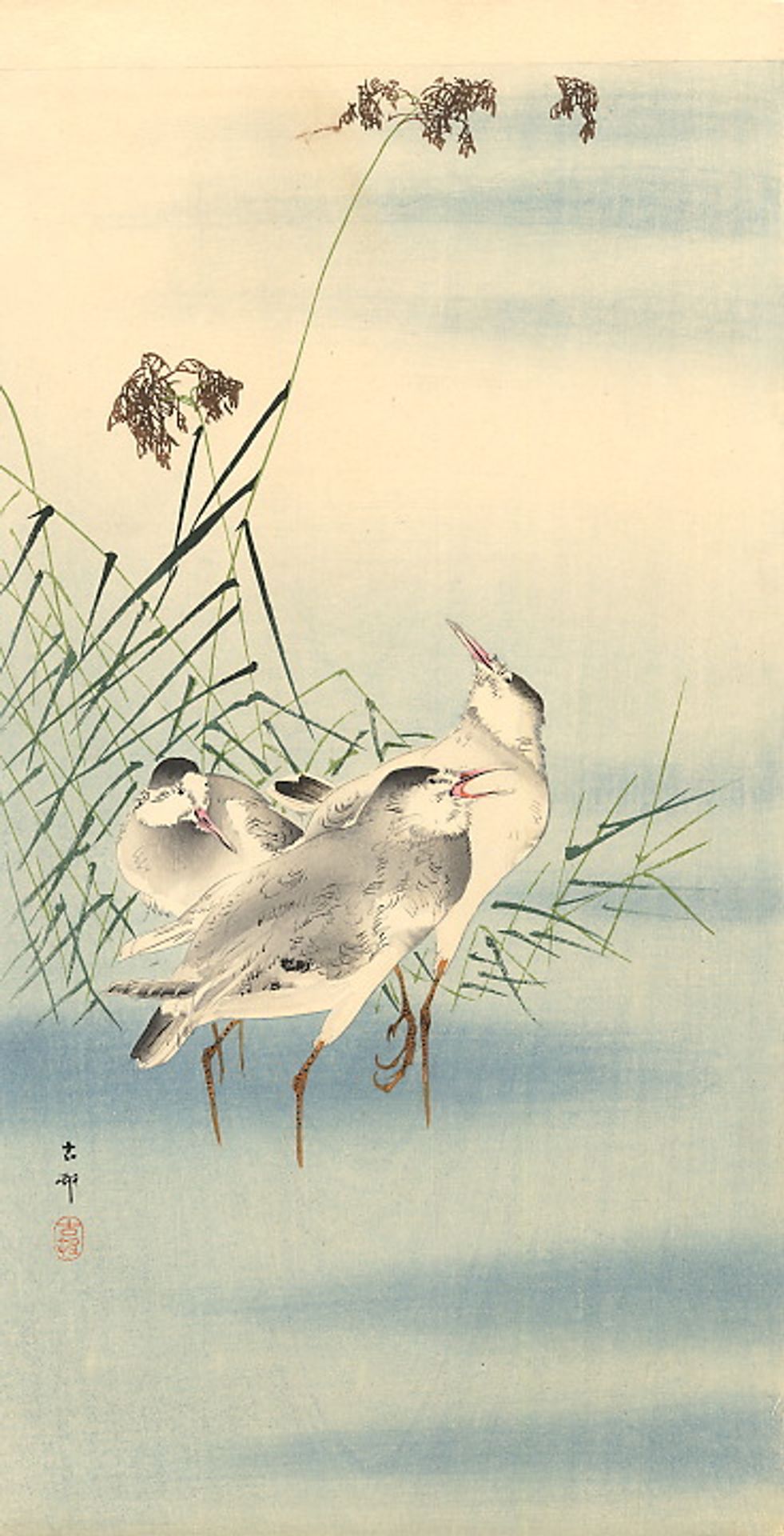 Sandpipers by Ohara Koson
