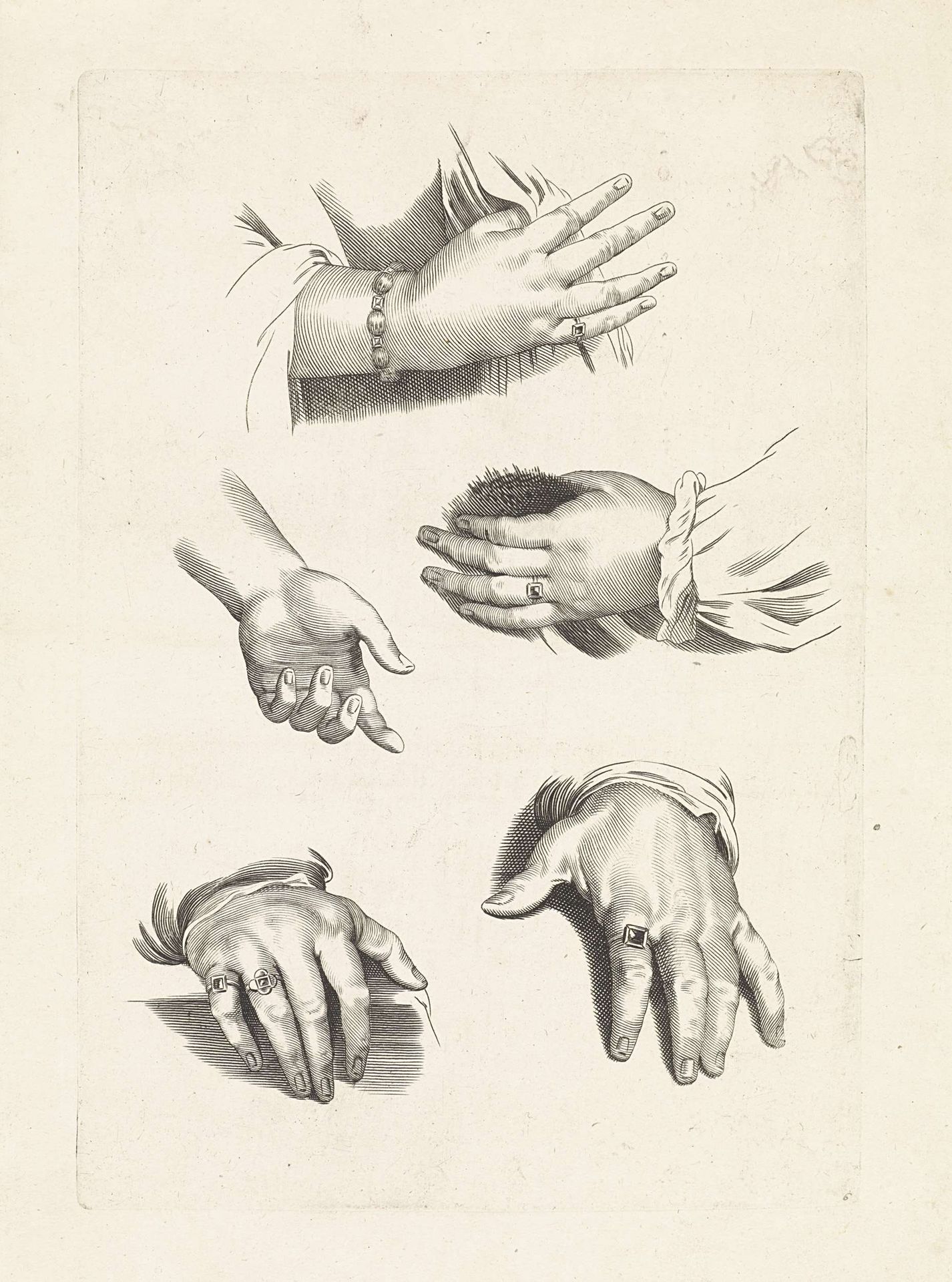 Studies van handen by Paulus Pontius