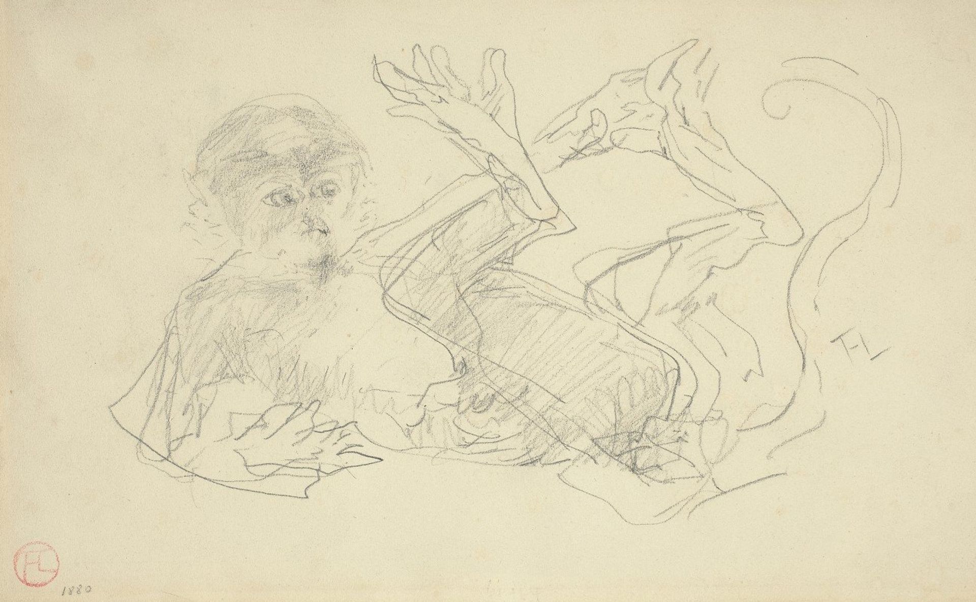 A Monkey Playing on His Back by Henri de Toulouse-Lautrec