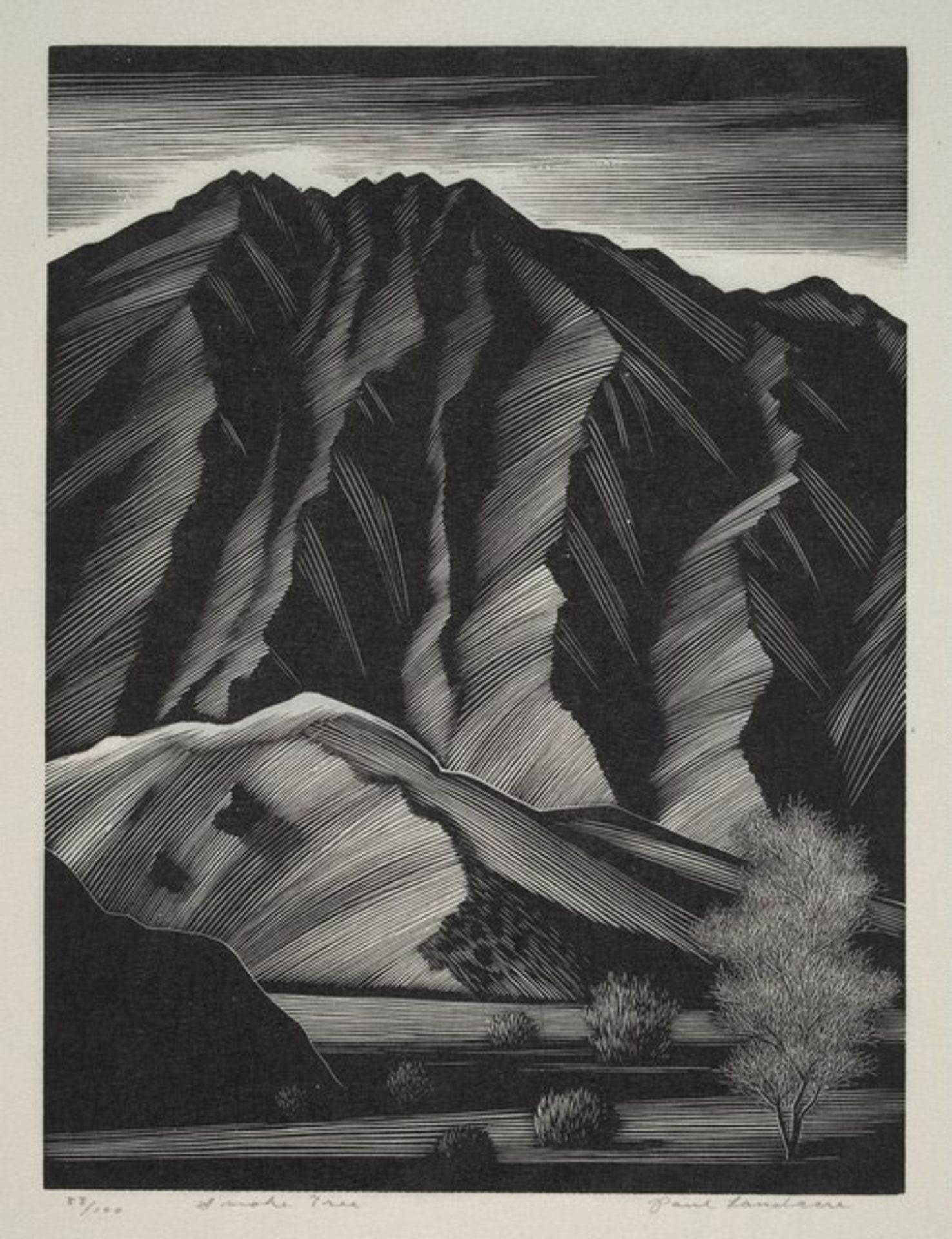 Smoke Tree by Paul Landacre