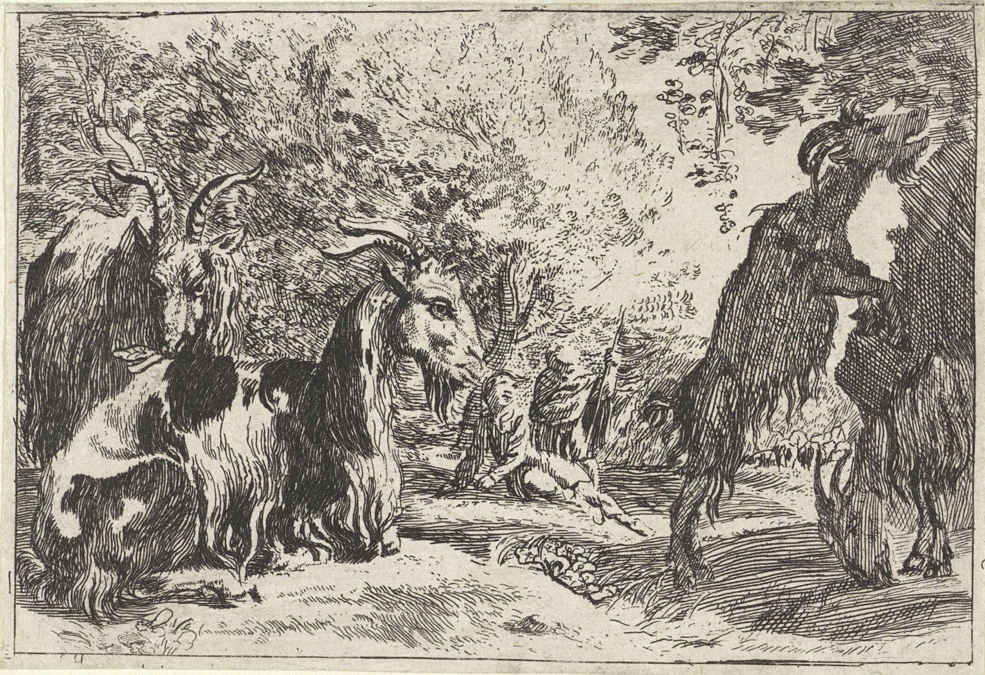 Geiten by Anonymous