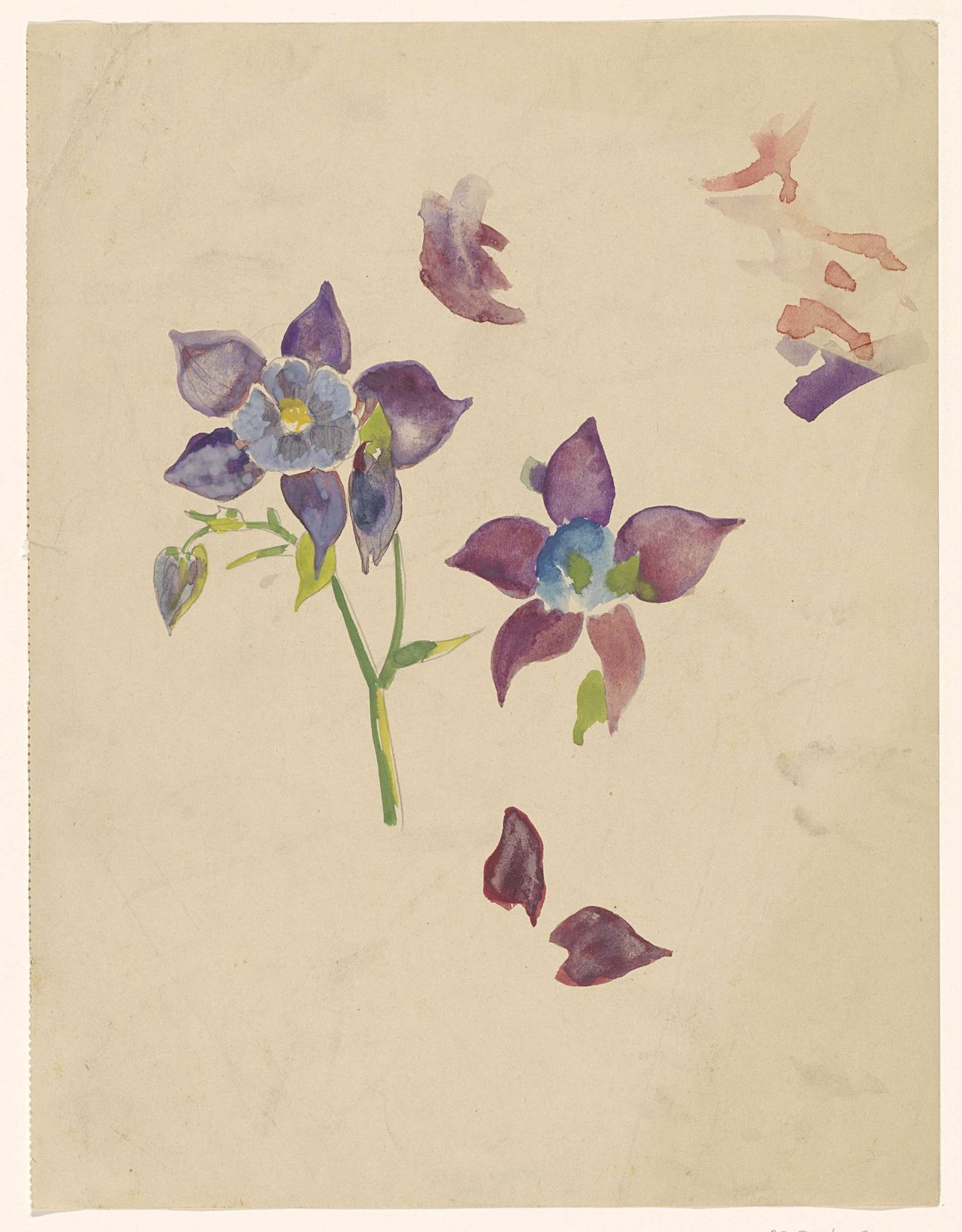 Bloemenstudie by Carel Adolph Lion Cachet