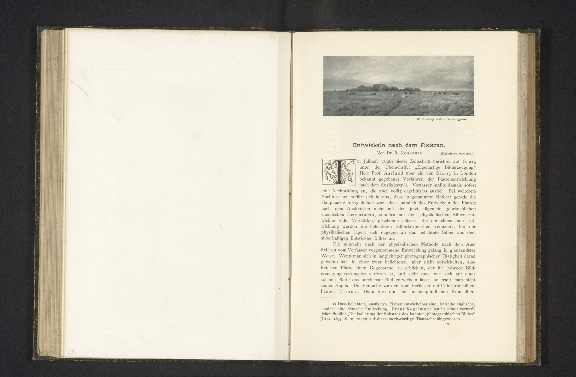 Gezicht op een weiland met schapen by William Smedley-Aston