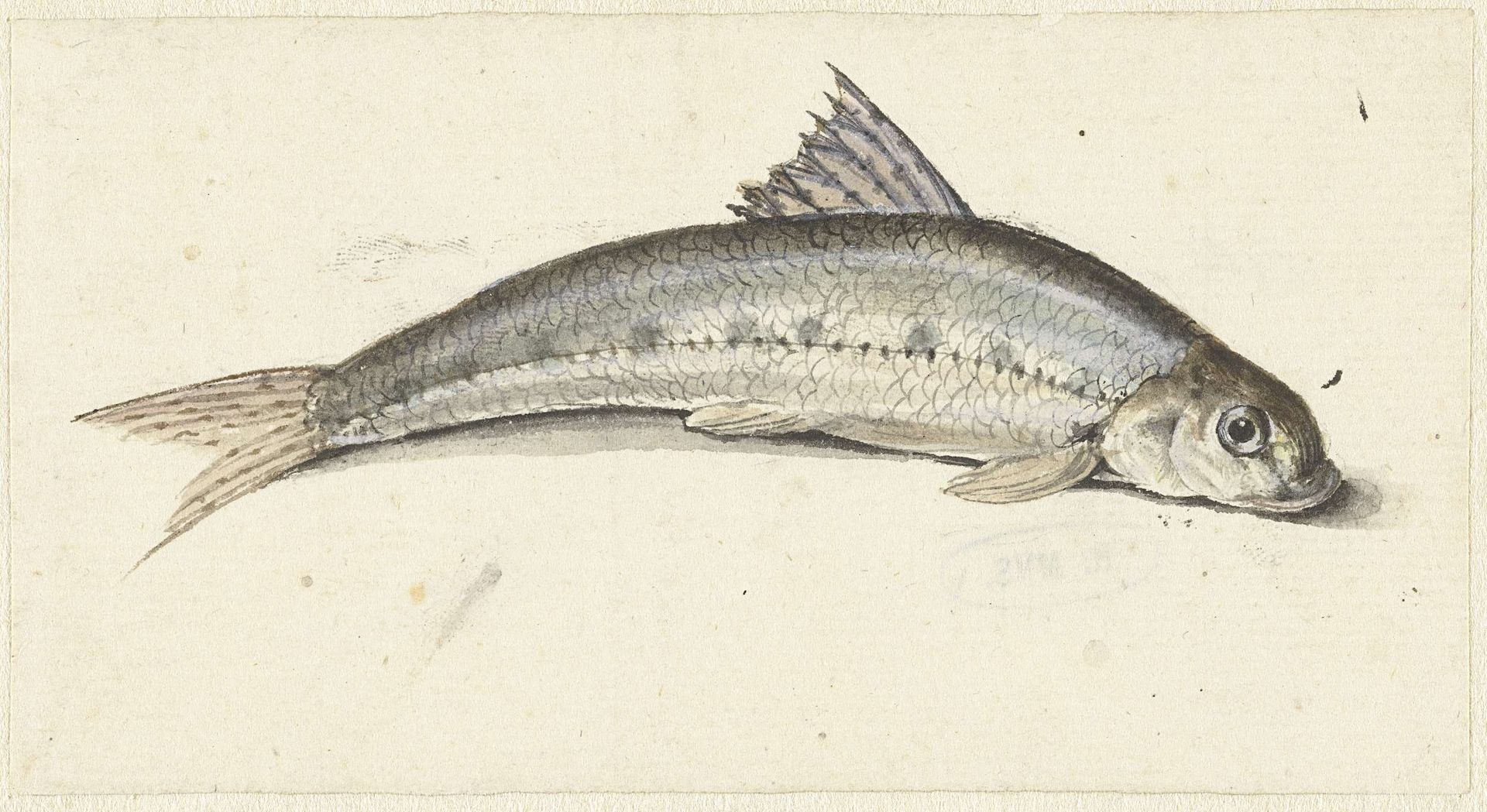 Gondel by Johannes le Francq van Berkhey