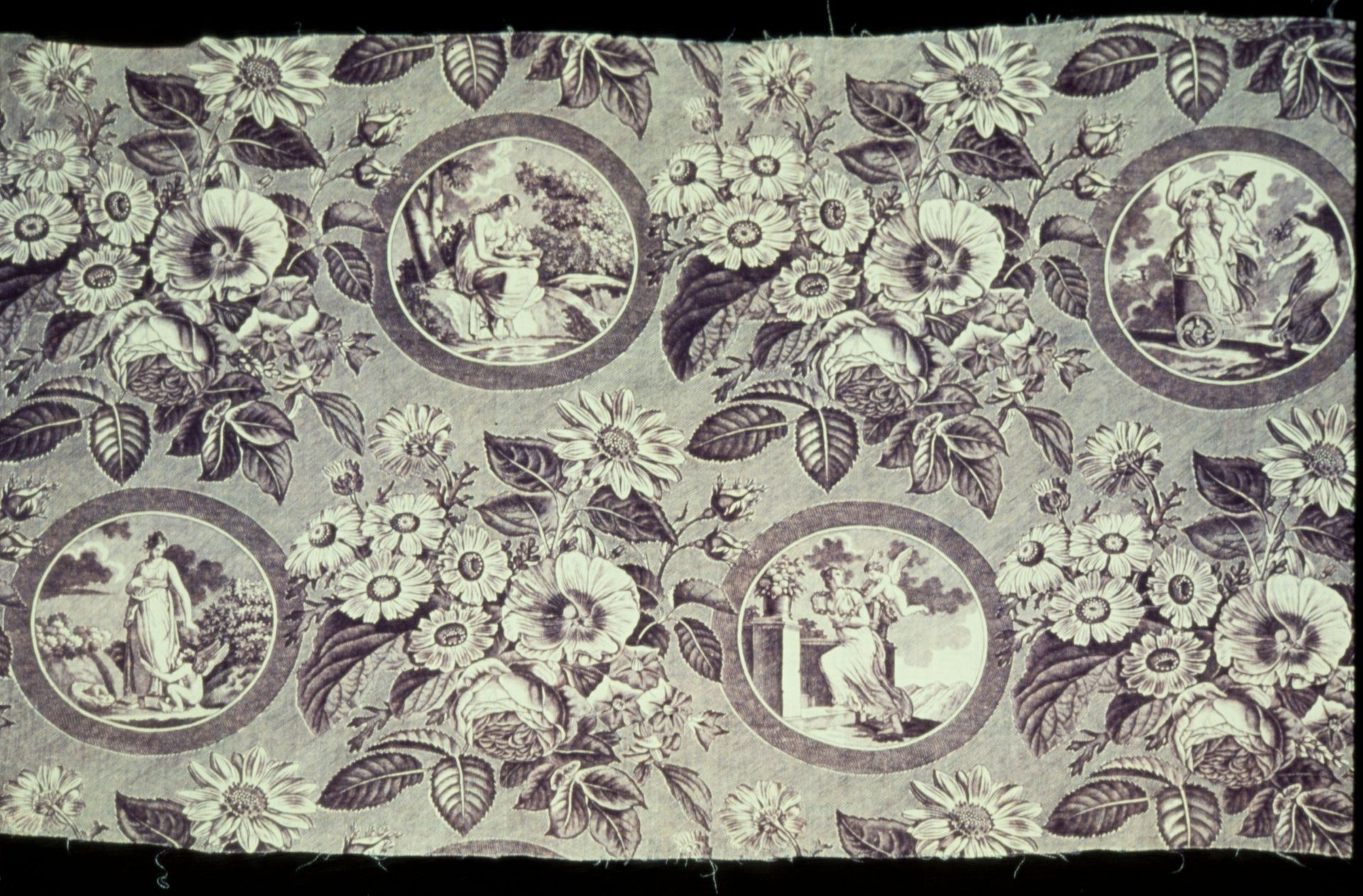 Panel by Anonymous