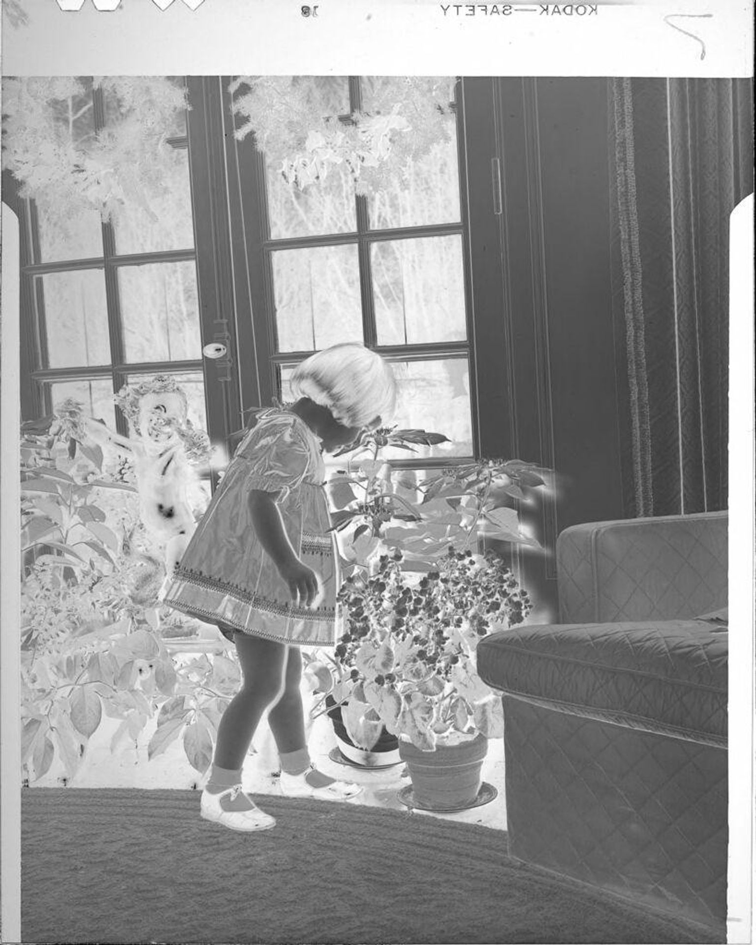 Untitled (girl next to plants) by John Howell