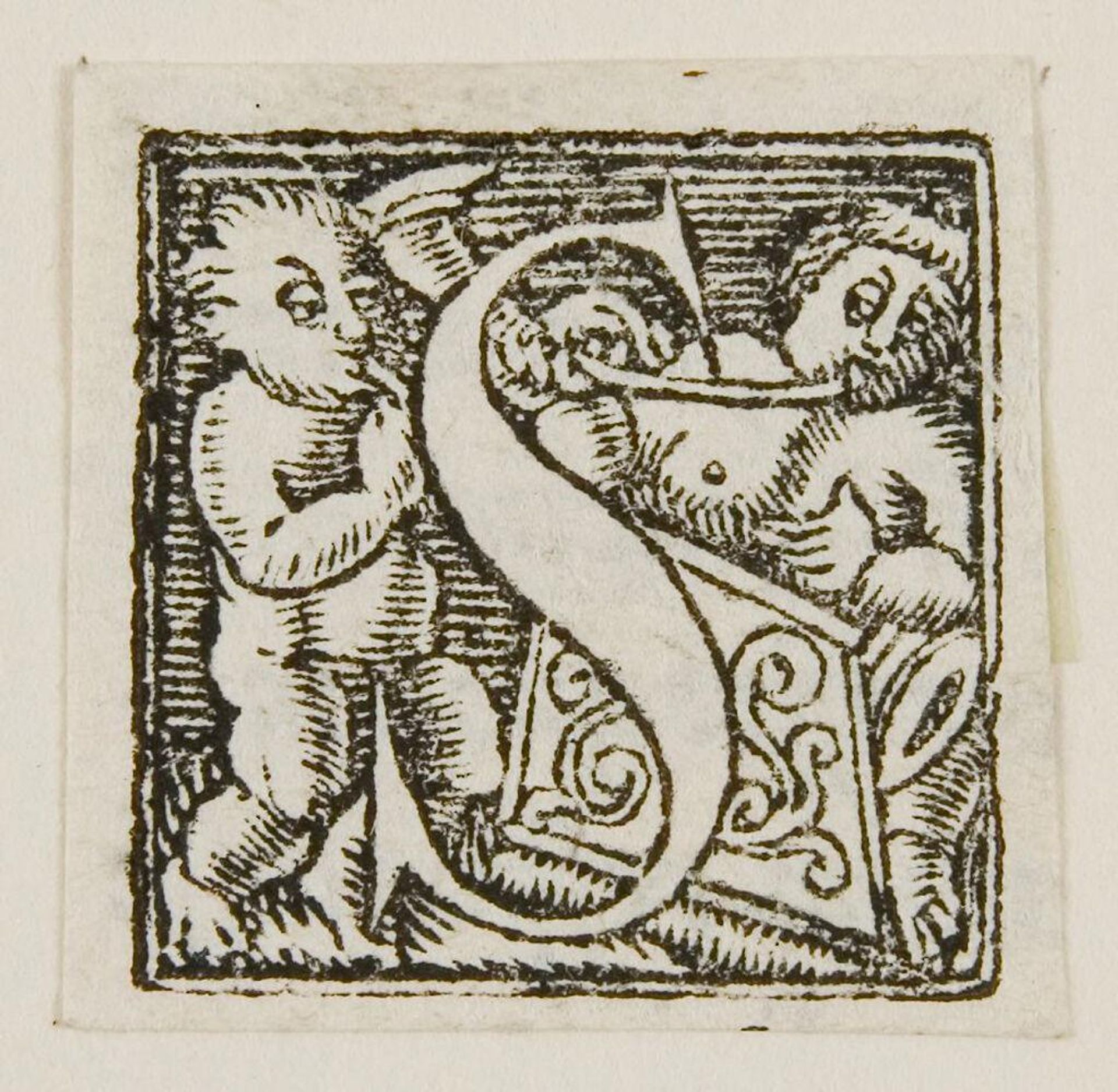 Letter S by Anonymous