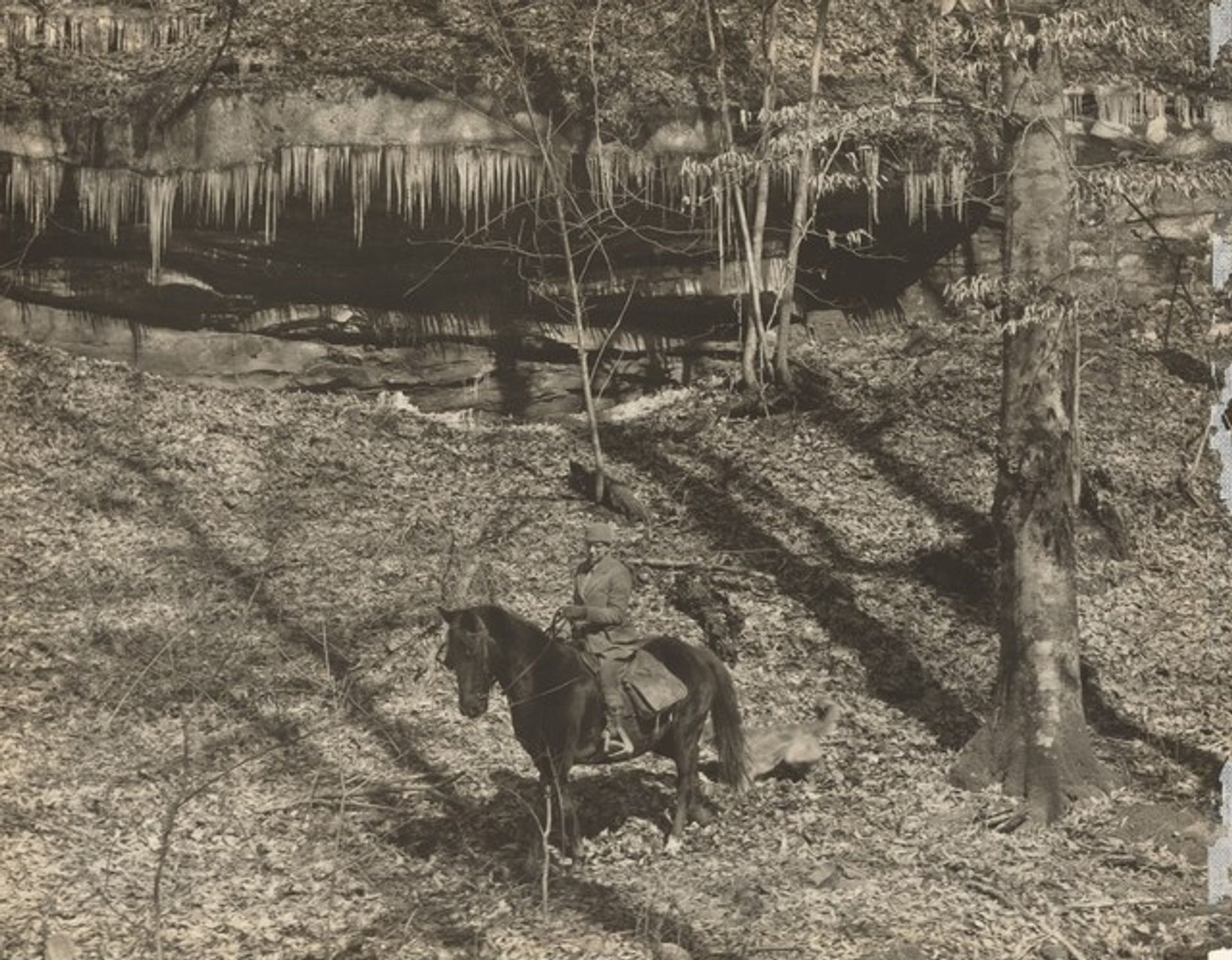 Frontier Nursing Service, Kentucky by Marvin Breckinridge Patterson