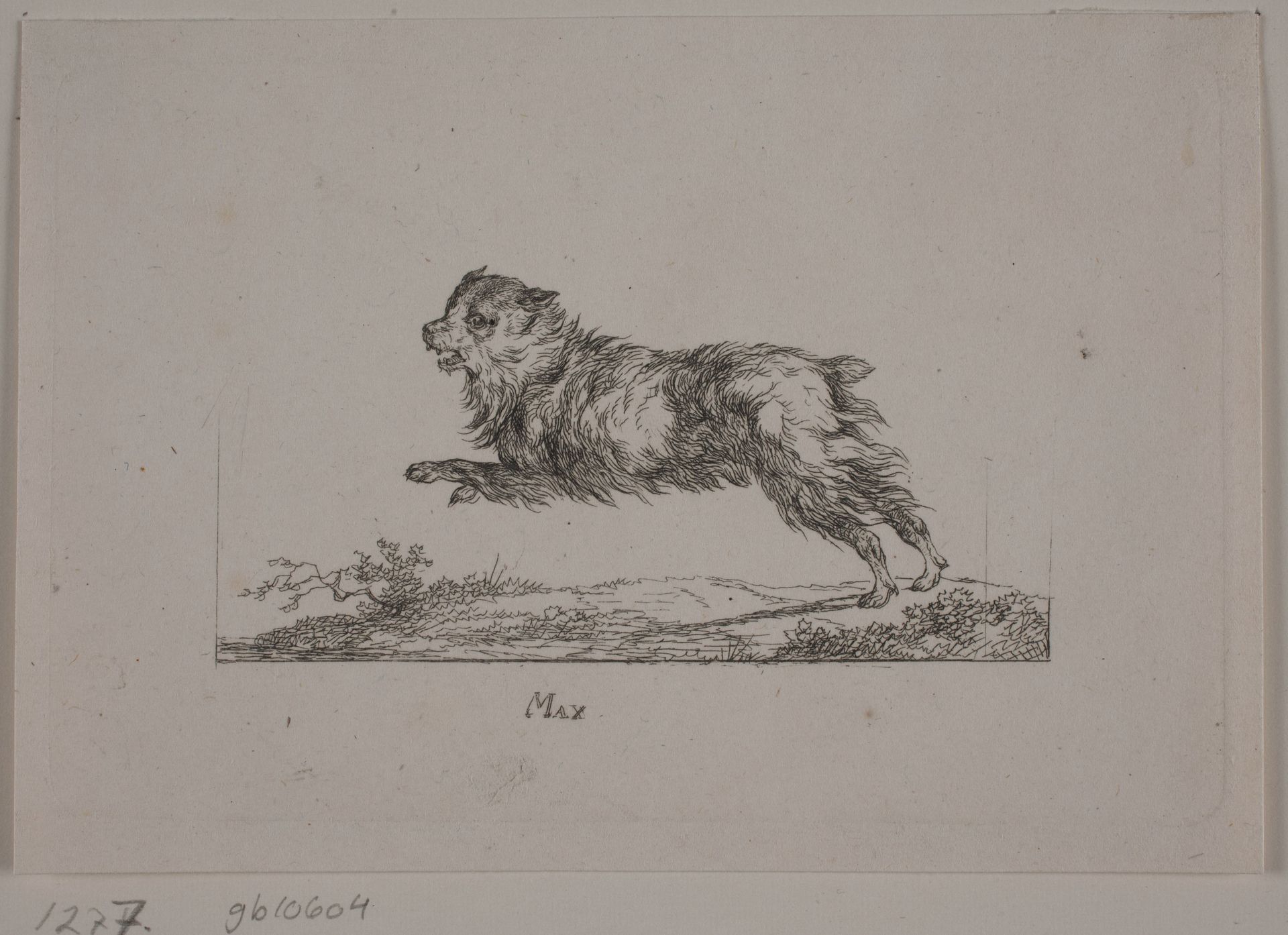 Max, løbende hund by Christian David Gebauer