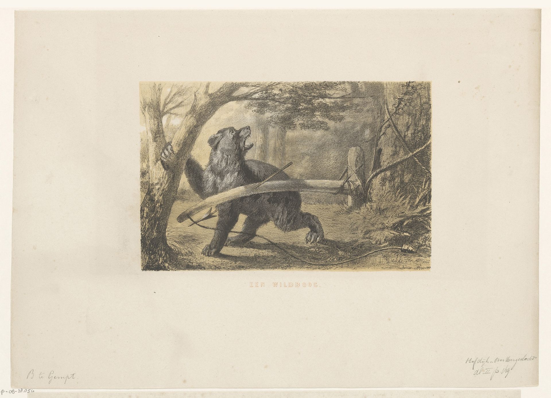 Beer in een val by Hendrik Adriaan Christiaan Dekker