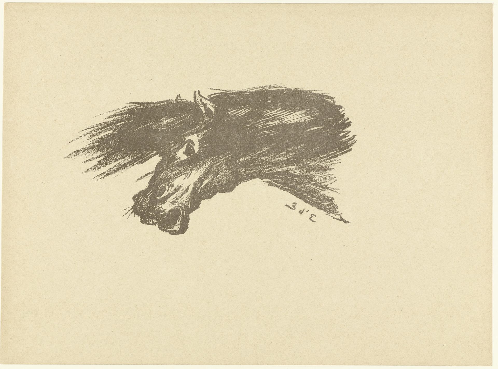 Hoofd van paard by Georges d' Espagnat