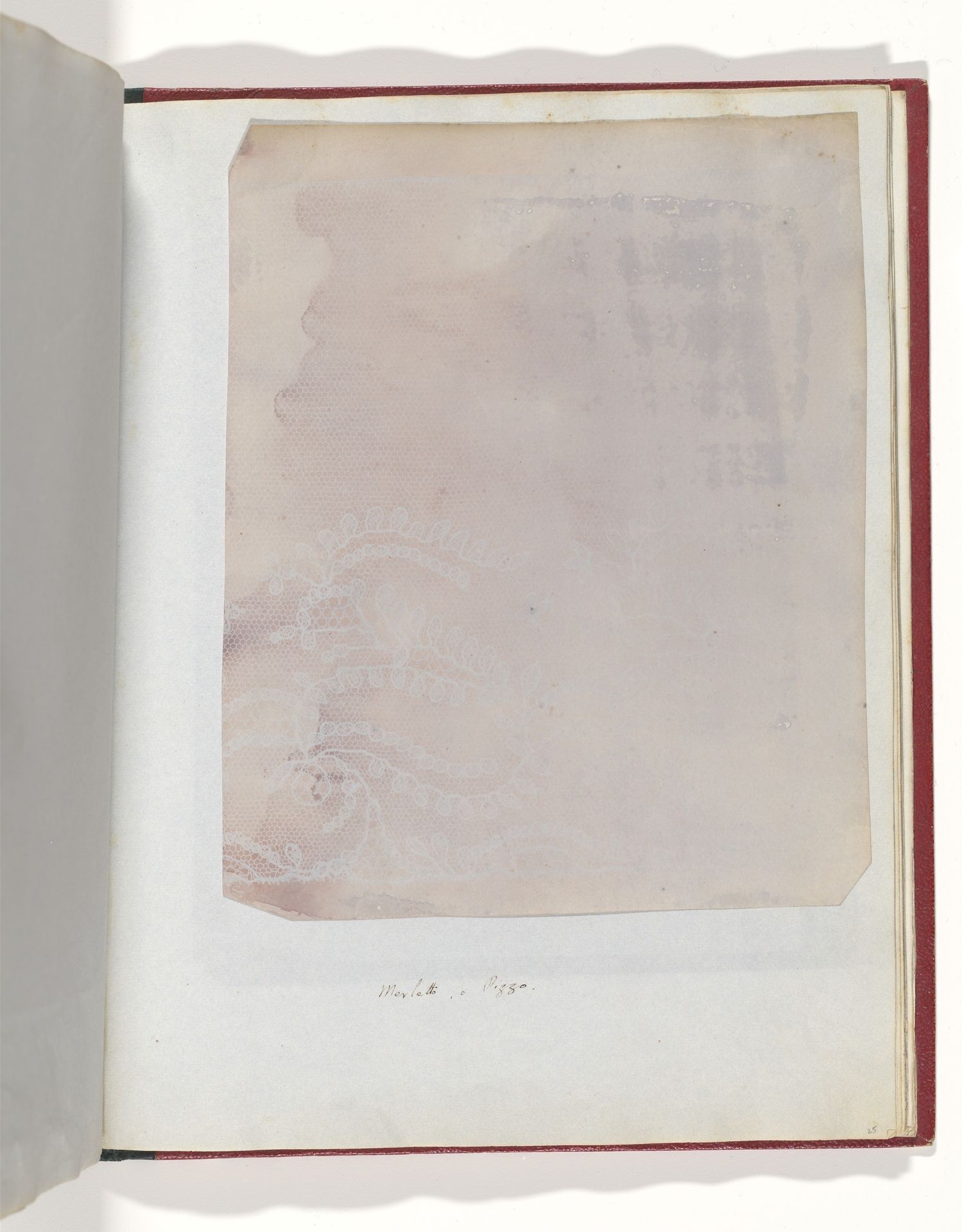 Merletto o Pizzo by William Henry Fox Talbot